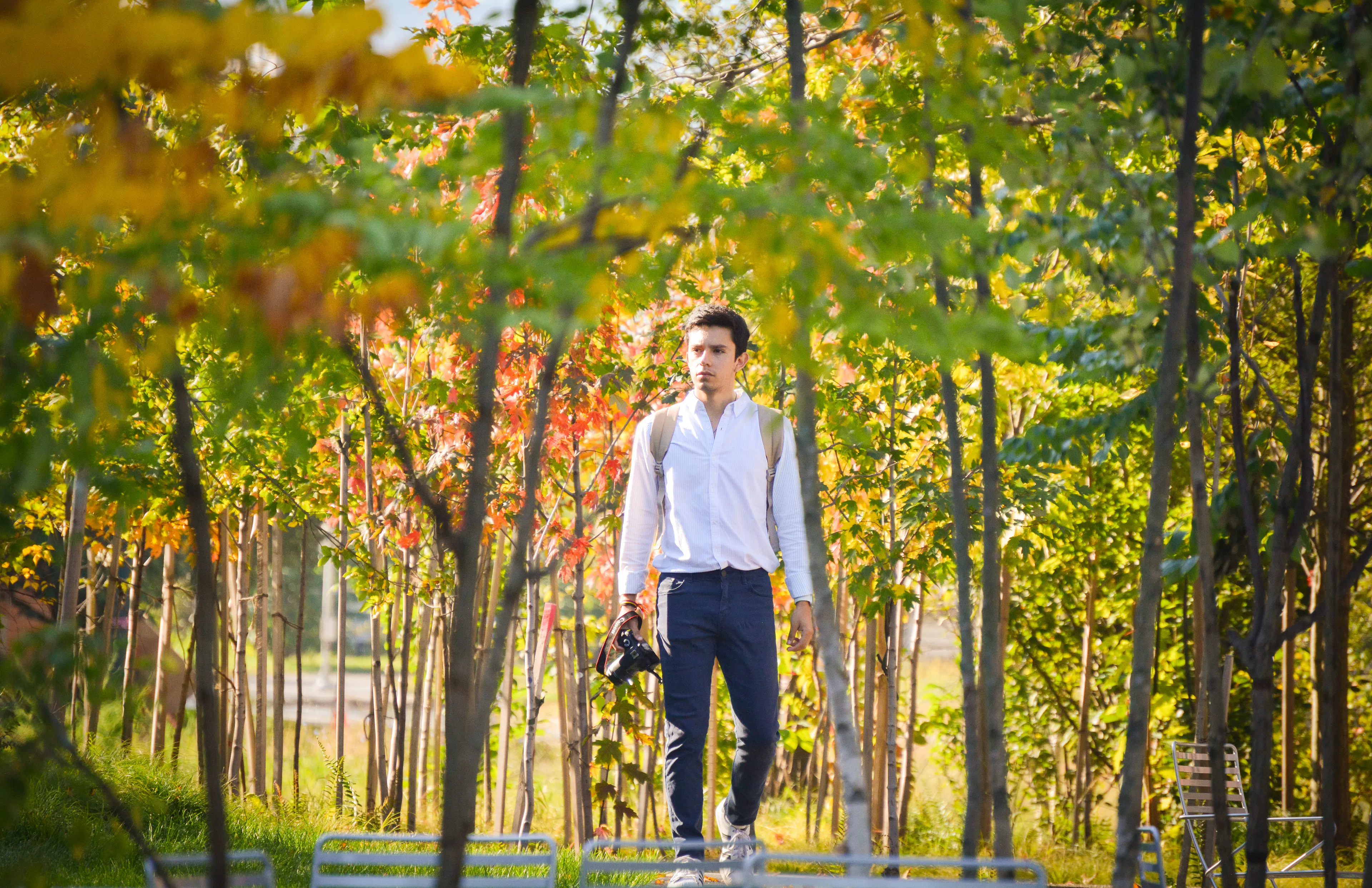 Triangle Park Urban Forest — 7