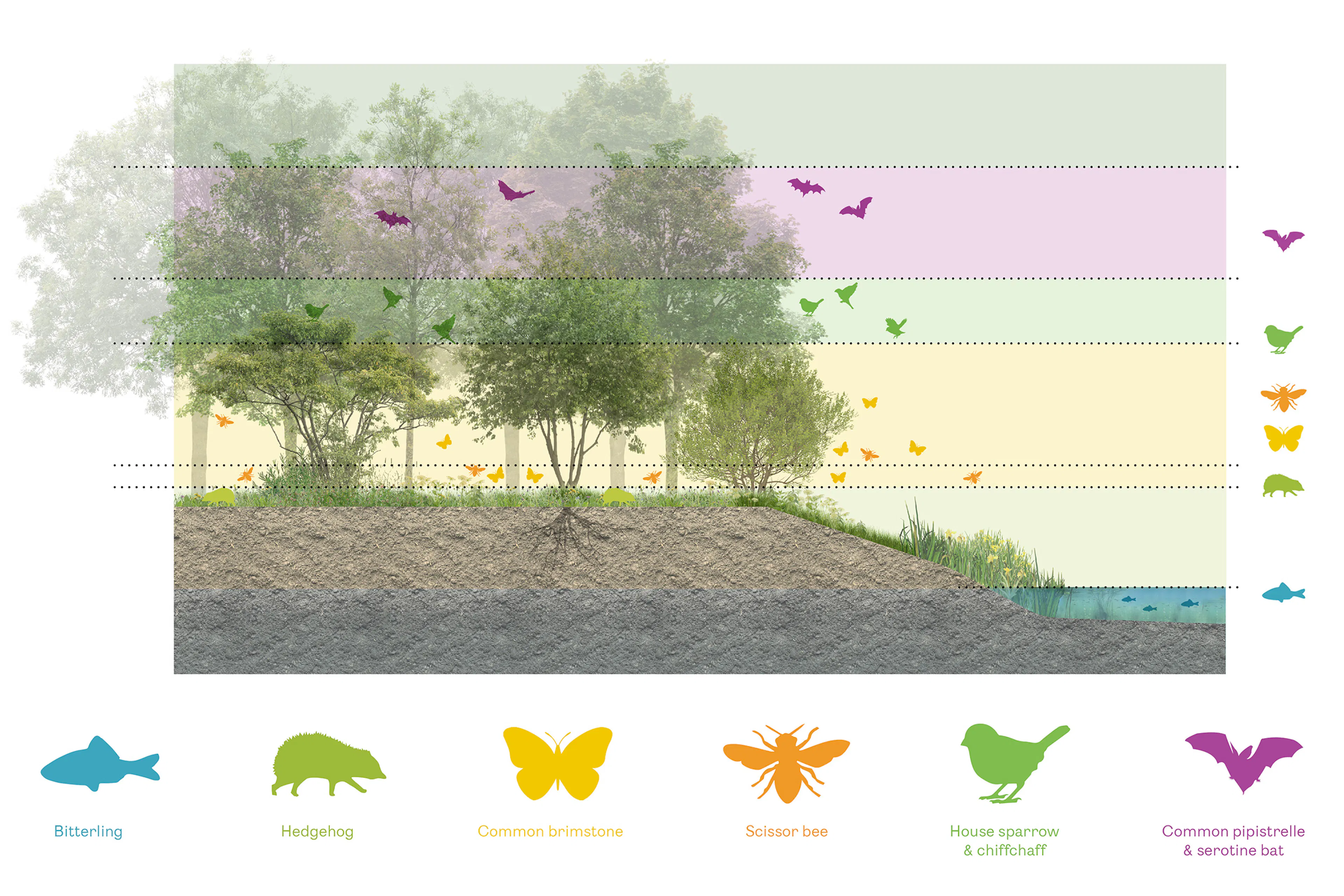 Public Space Merwede — 3