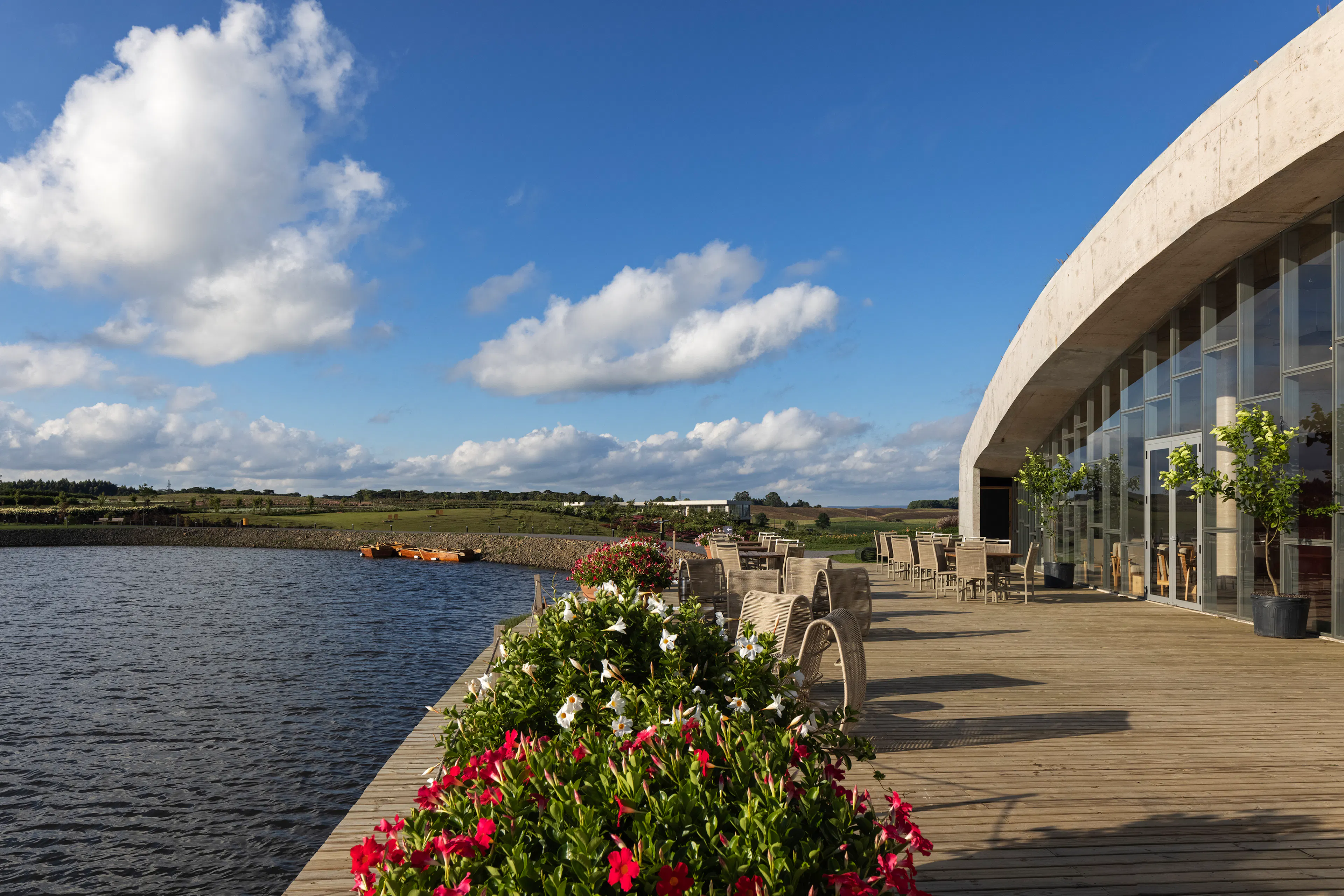 Baffi Restaurant — 2