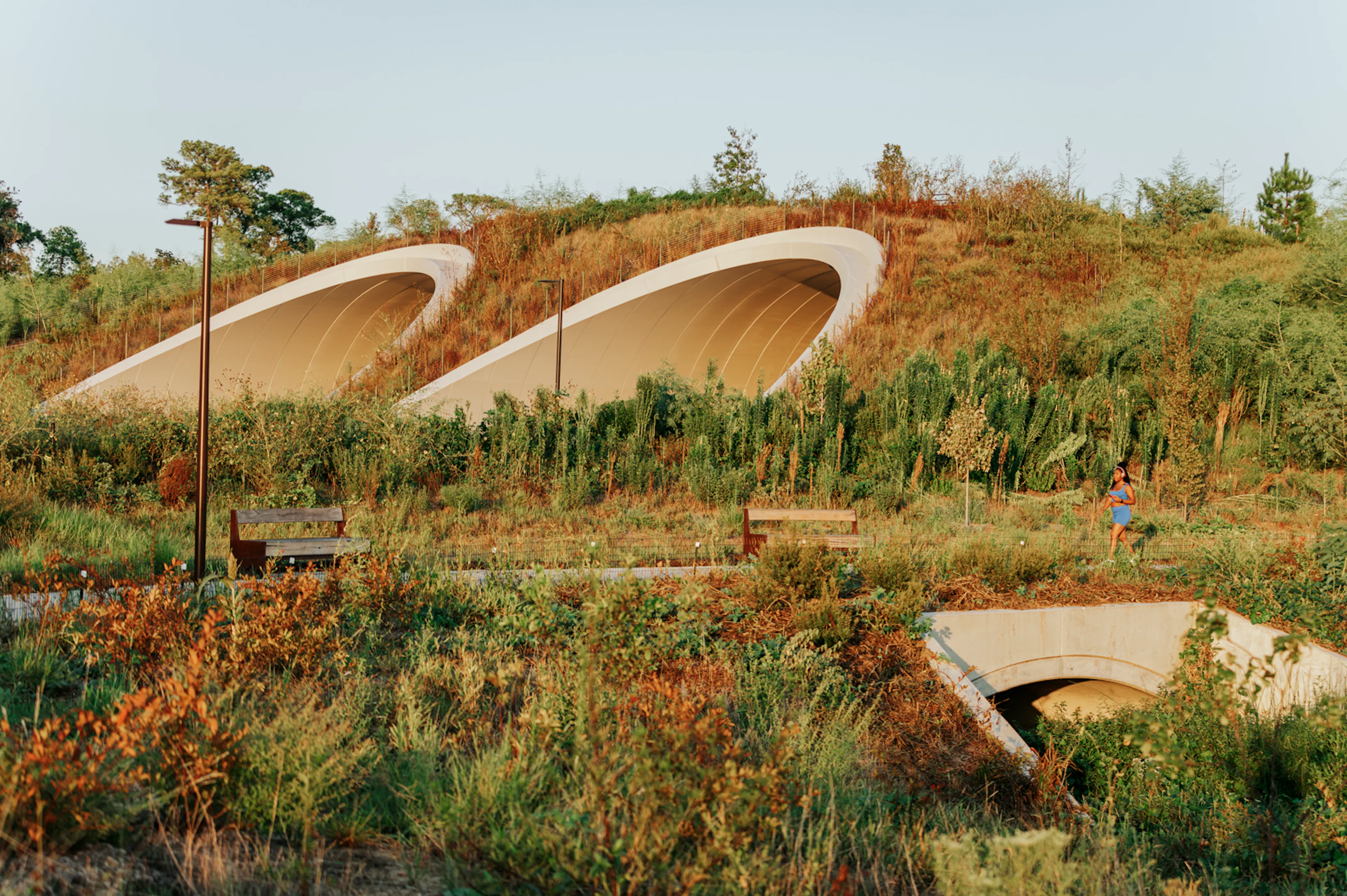 Kinder Land Bridge and Cyvia and Melvyn Wolff Prairie at Memorial Park — 3