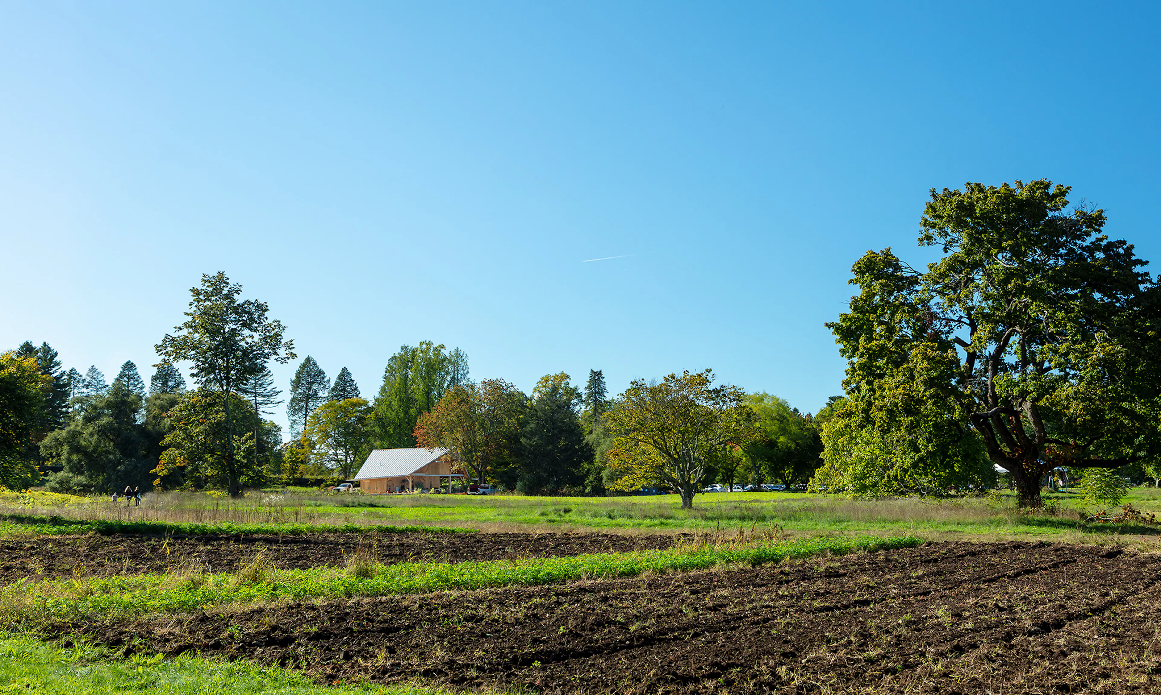 Land's Sake Farm, New Farmstand, Education Pavilion and Barn — 19