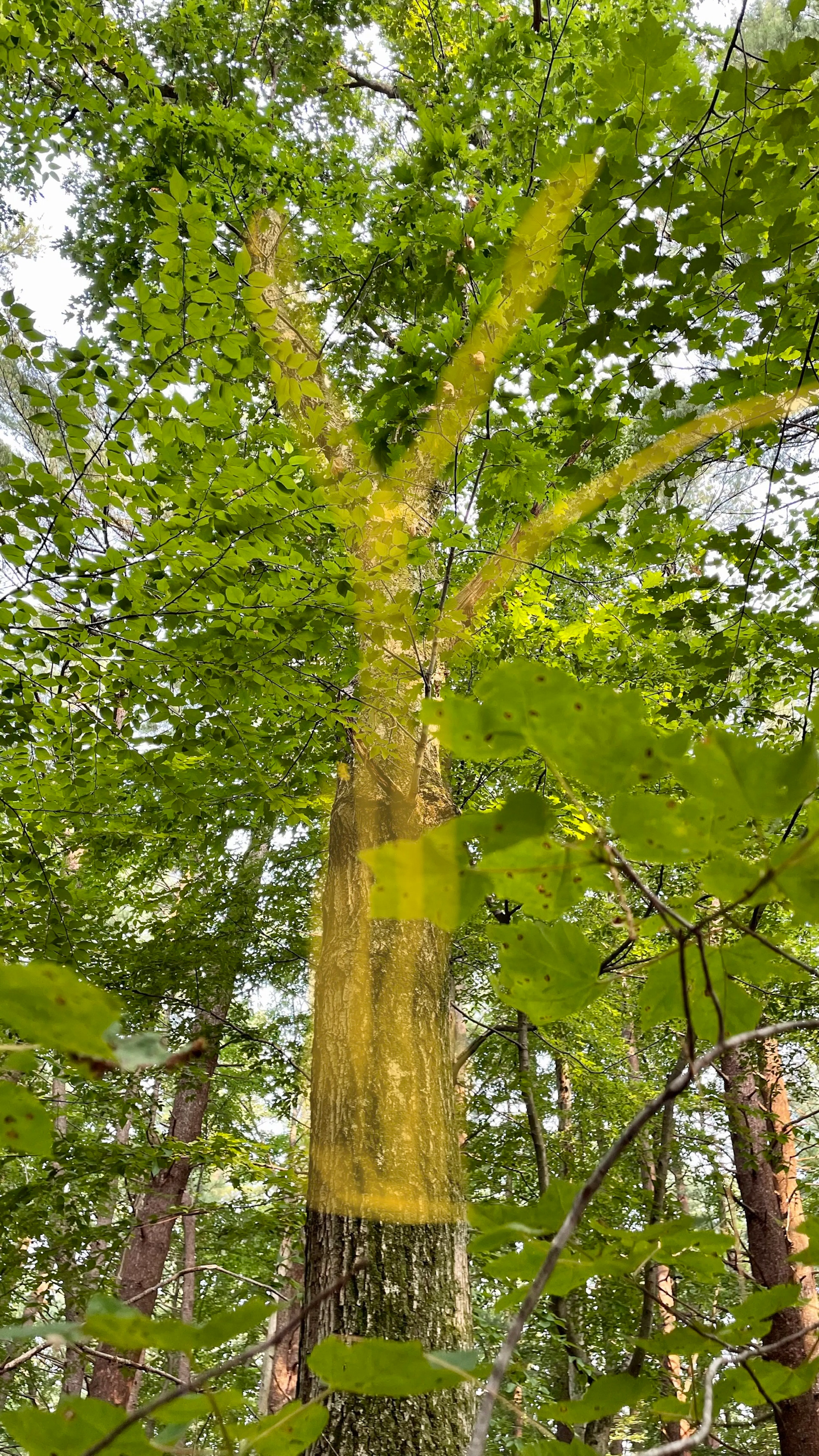 Land's Sake Farm, New Farmstand, Education Pavilion and Barn — 21