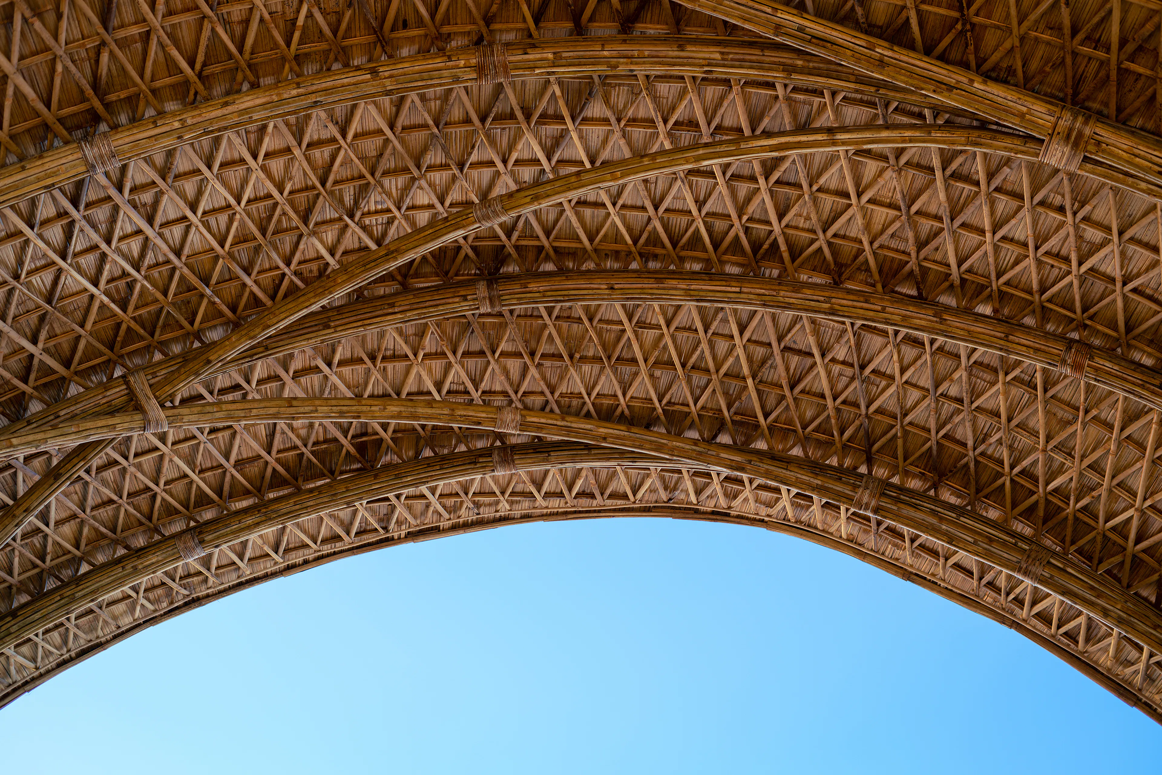 The Great Hornbill Gate — 6