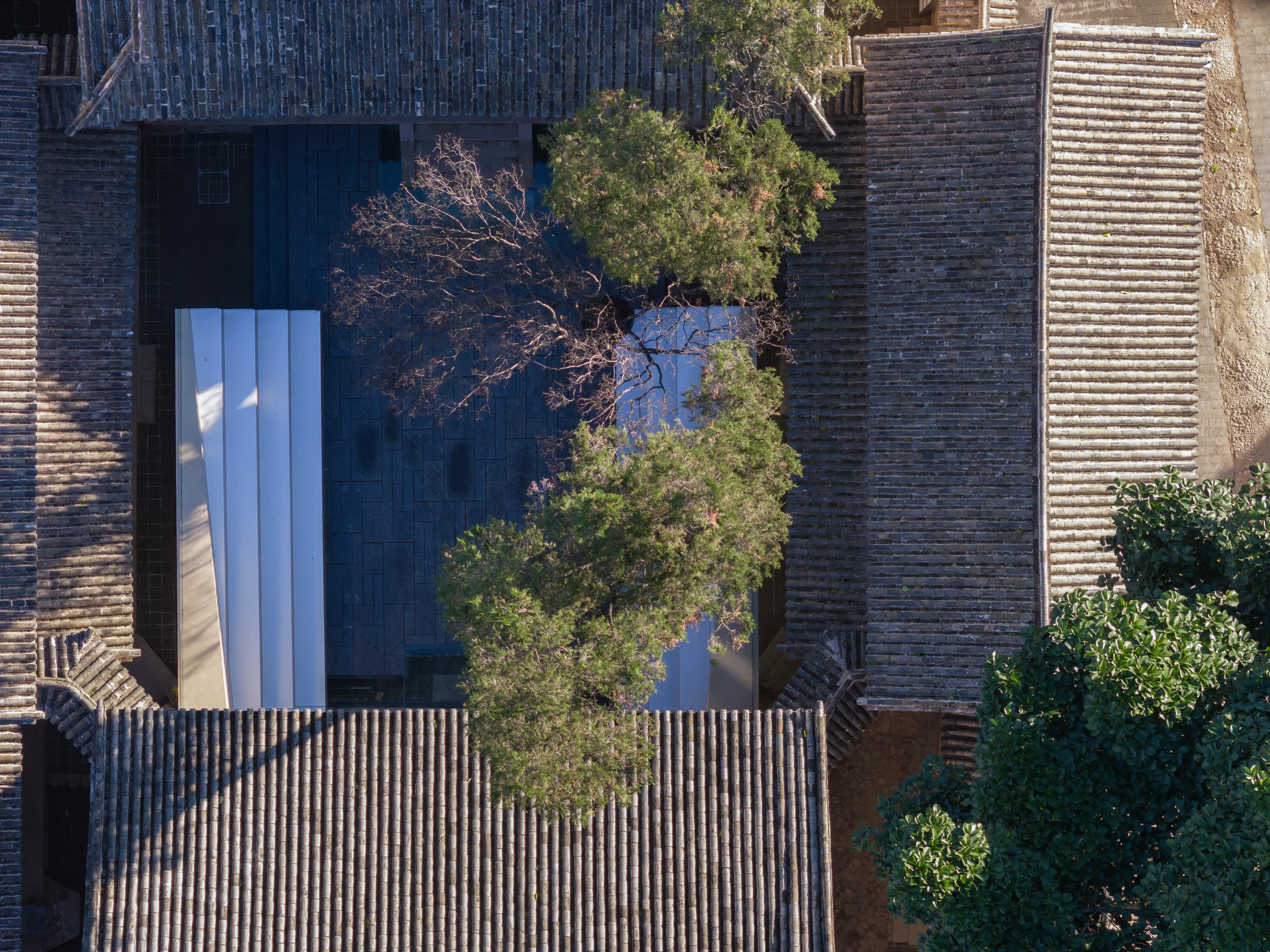 Weishan Chongzheng Academy Bookstore of Librairie Avant-Garde — 17
