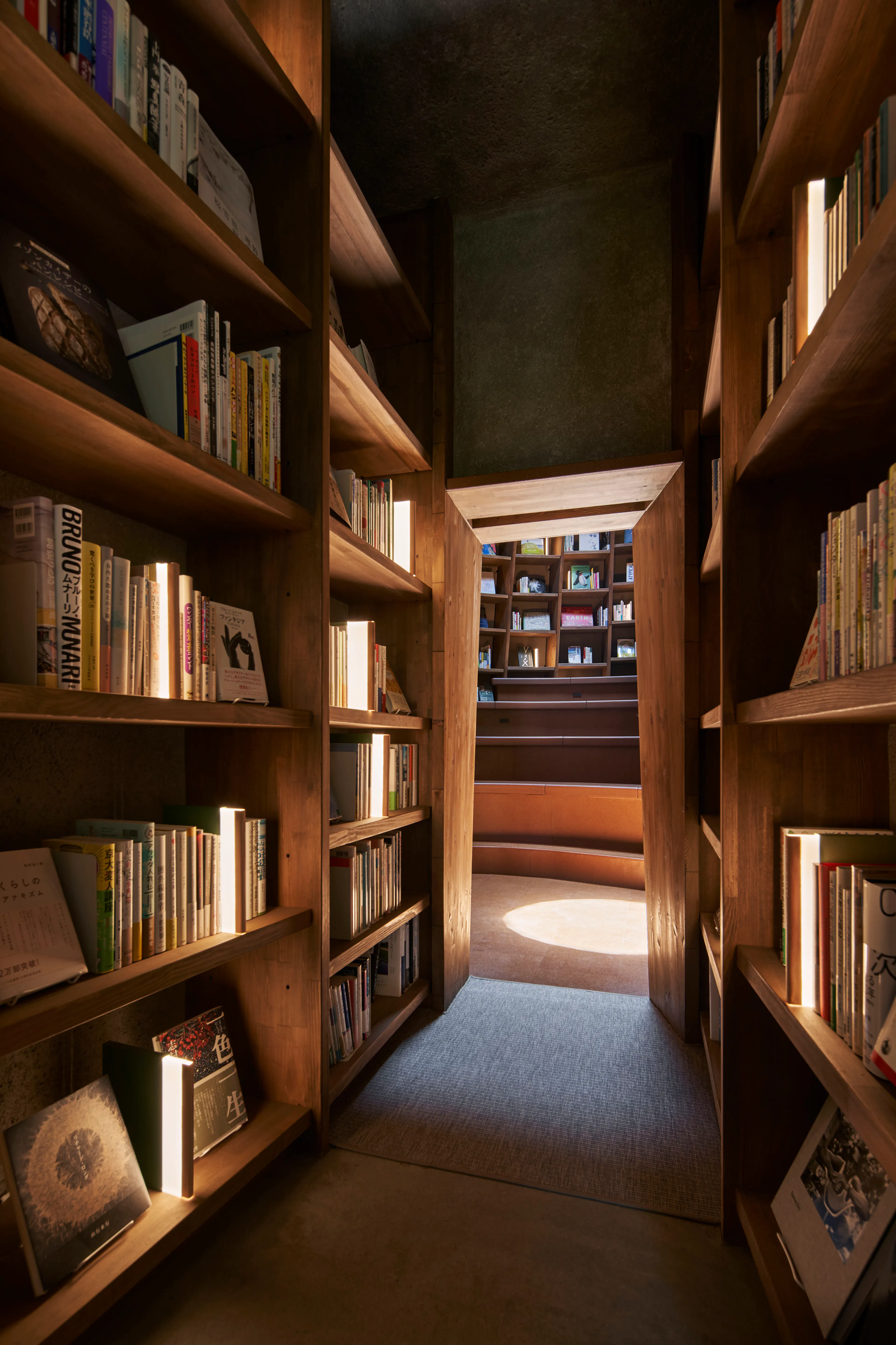 Library in the Earth — 17