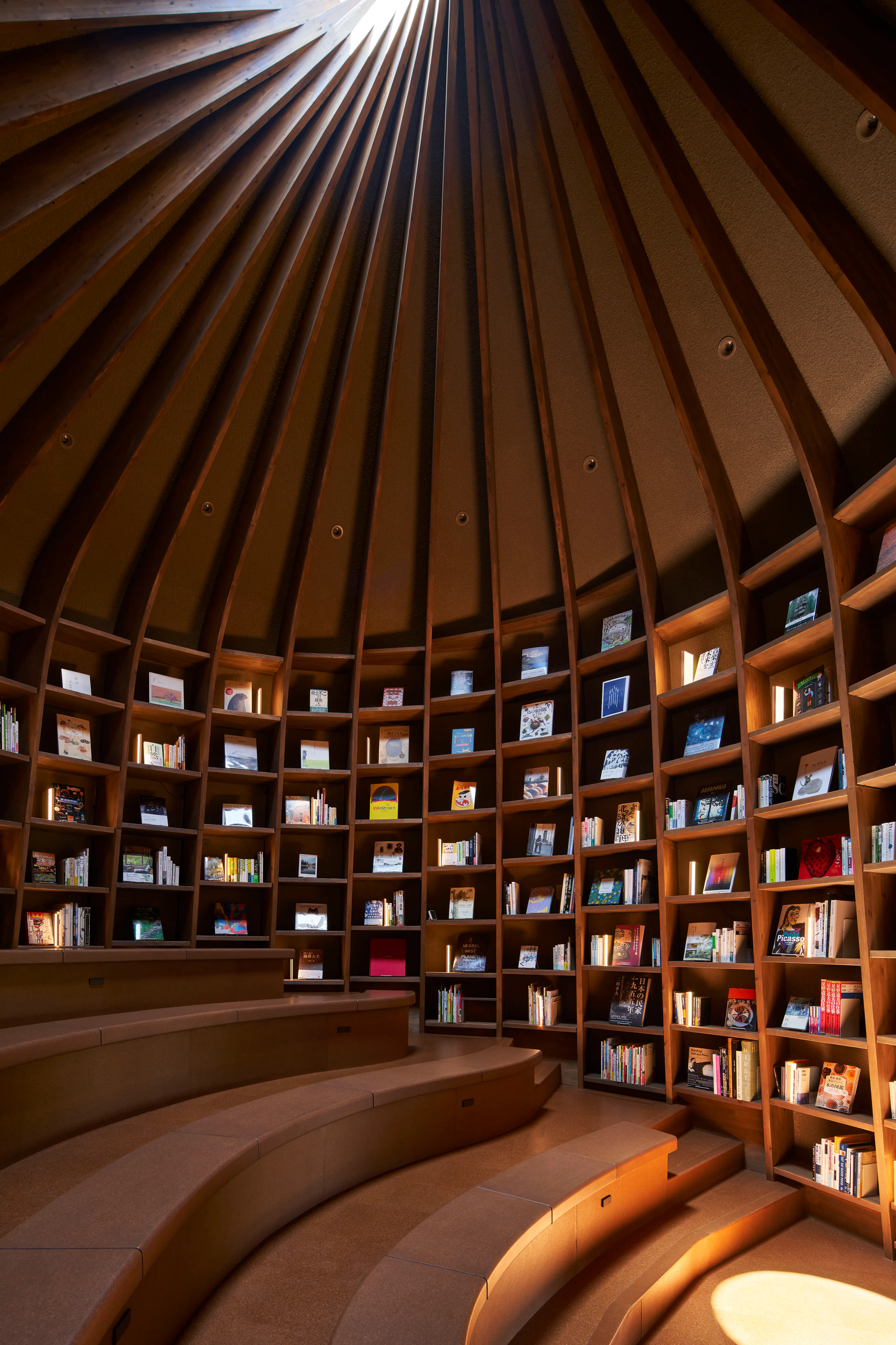 Library in the Earth — 18
