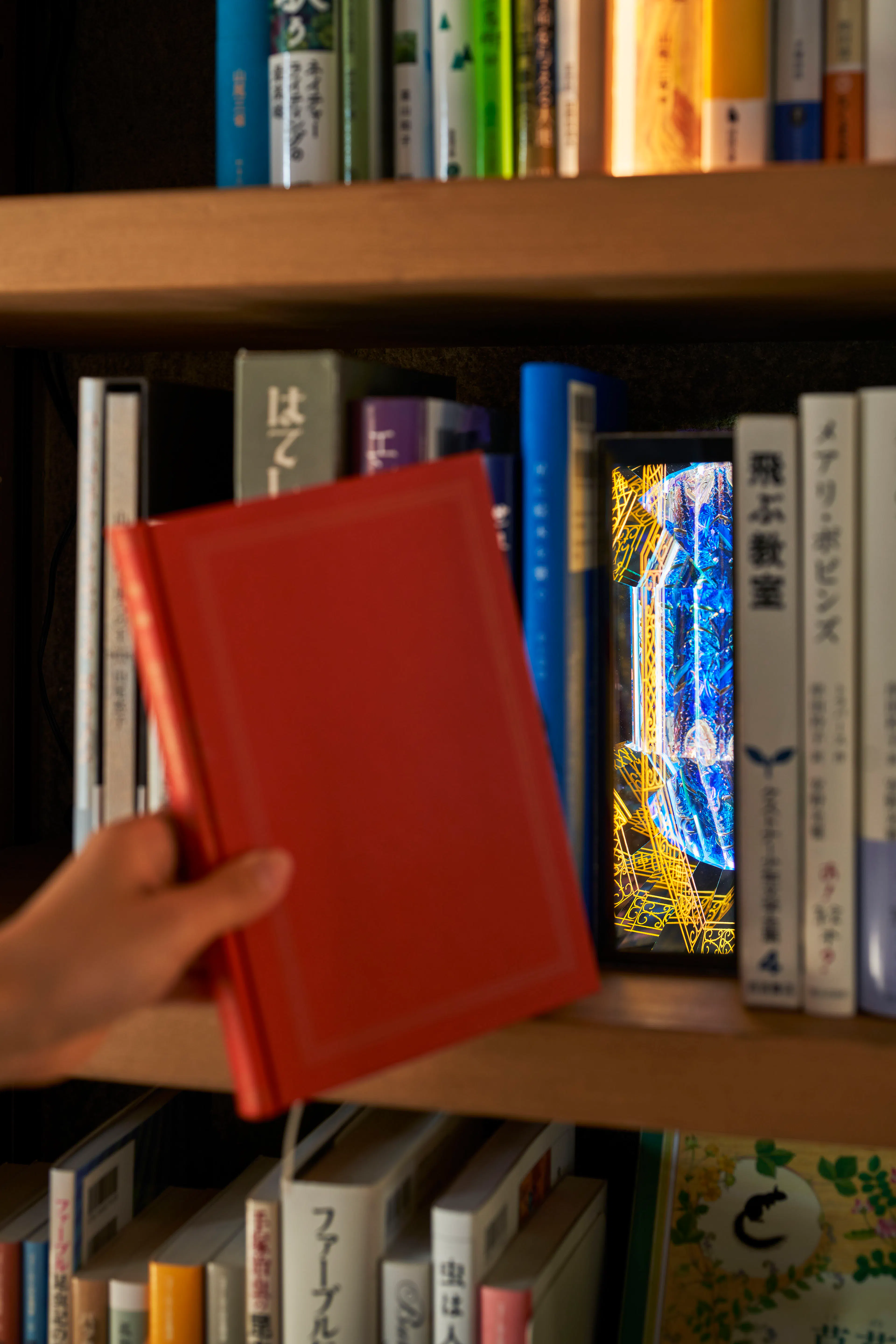 Library in the Earth — 25