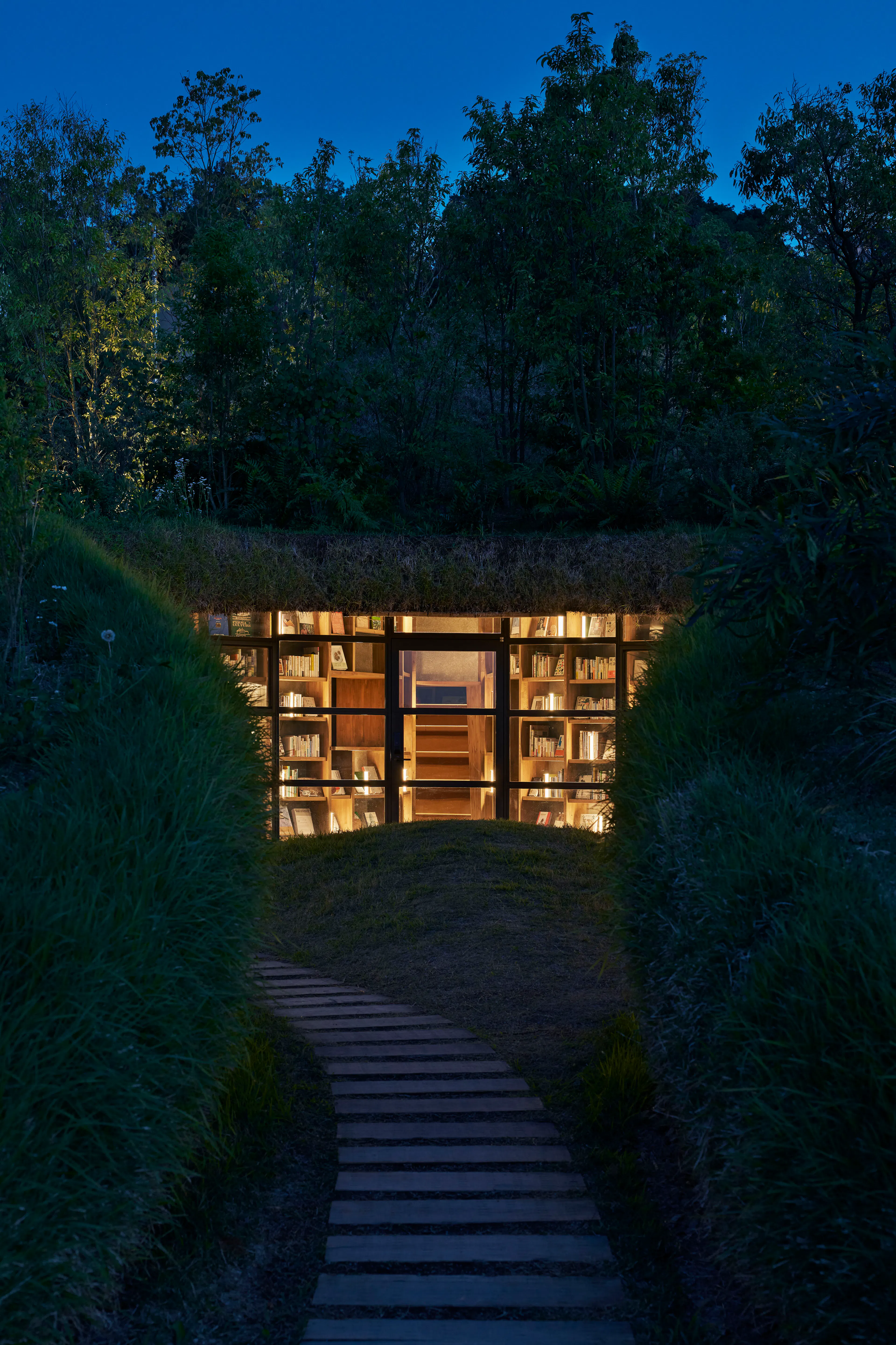 Library in the Earth — 29