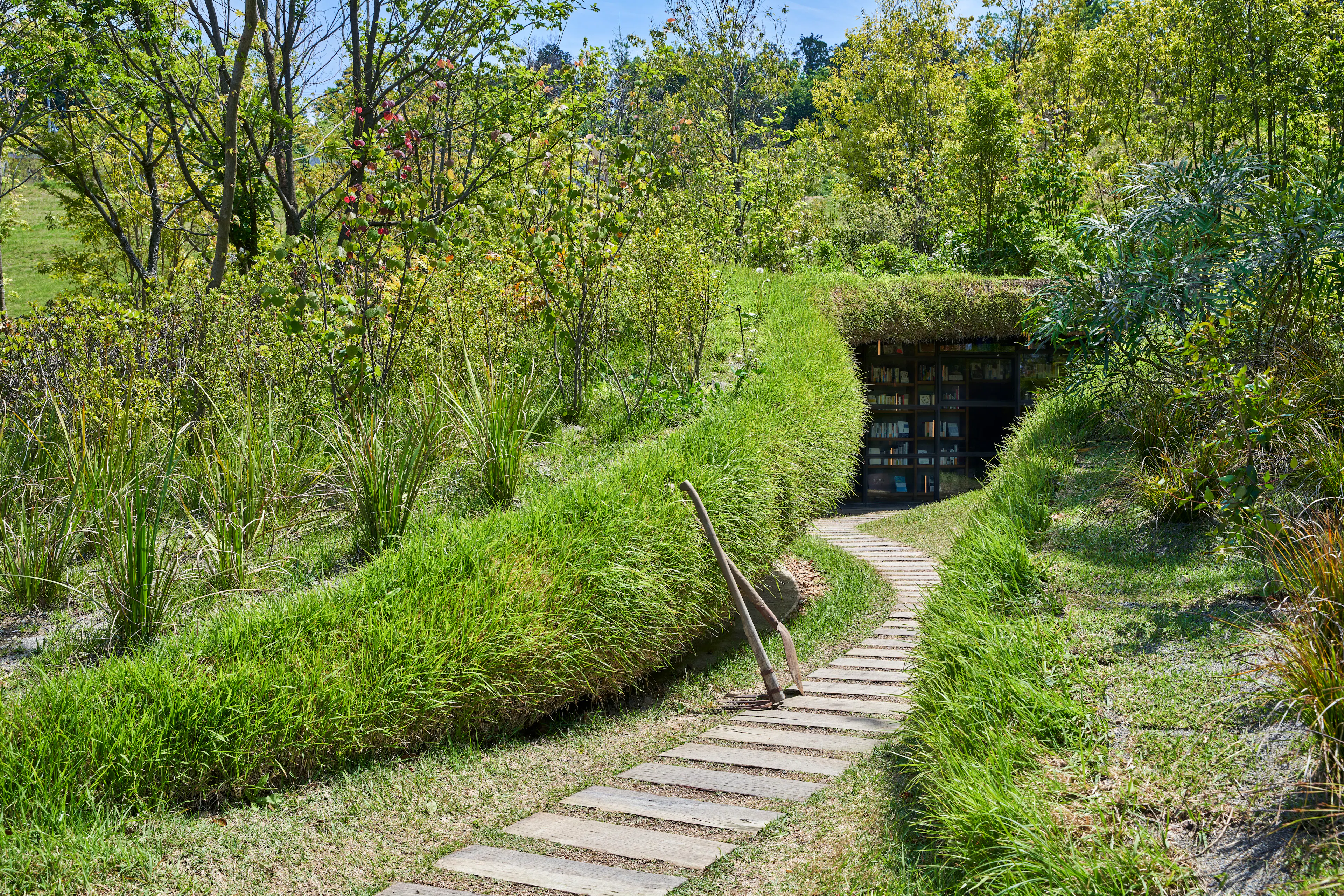 Library in the Earth — 5