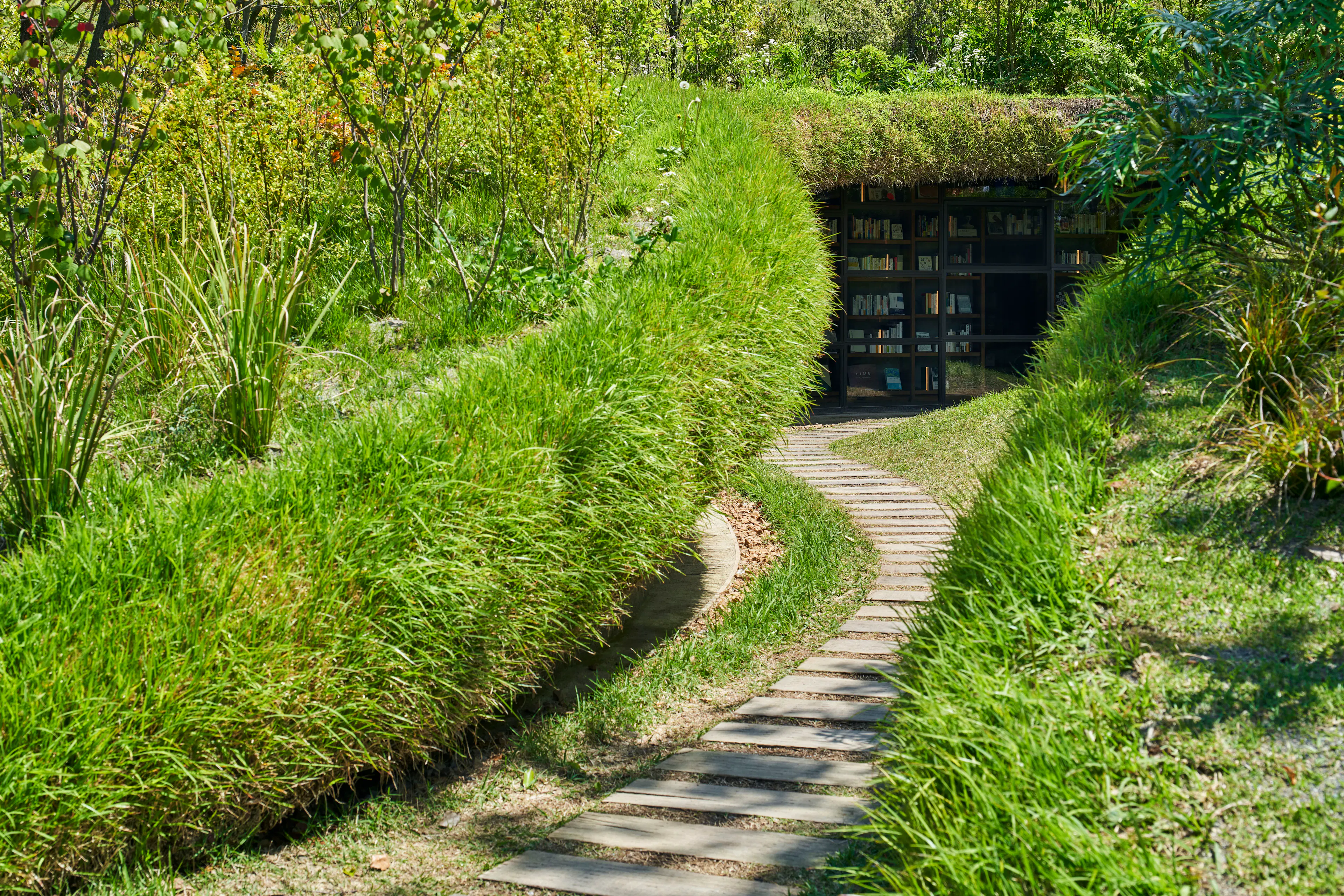 Library in the Earth — 6