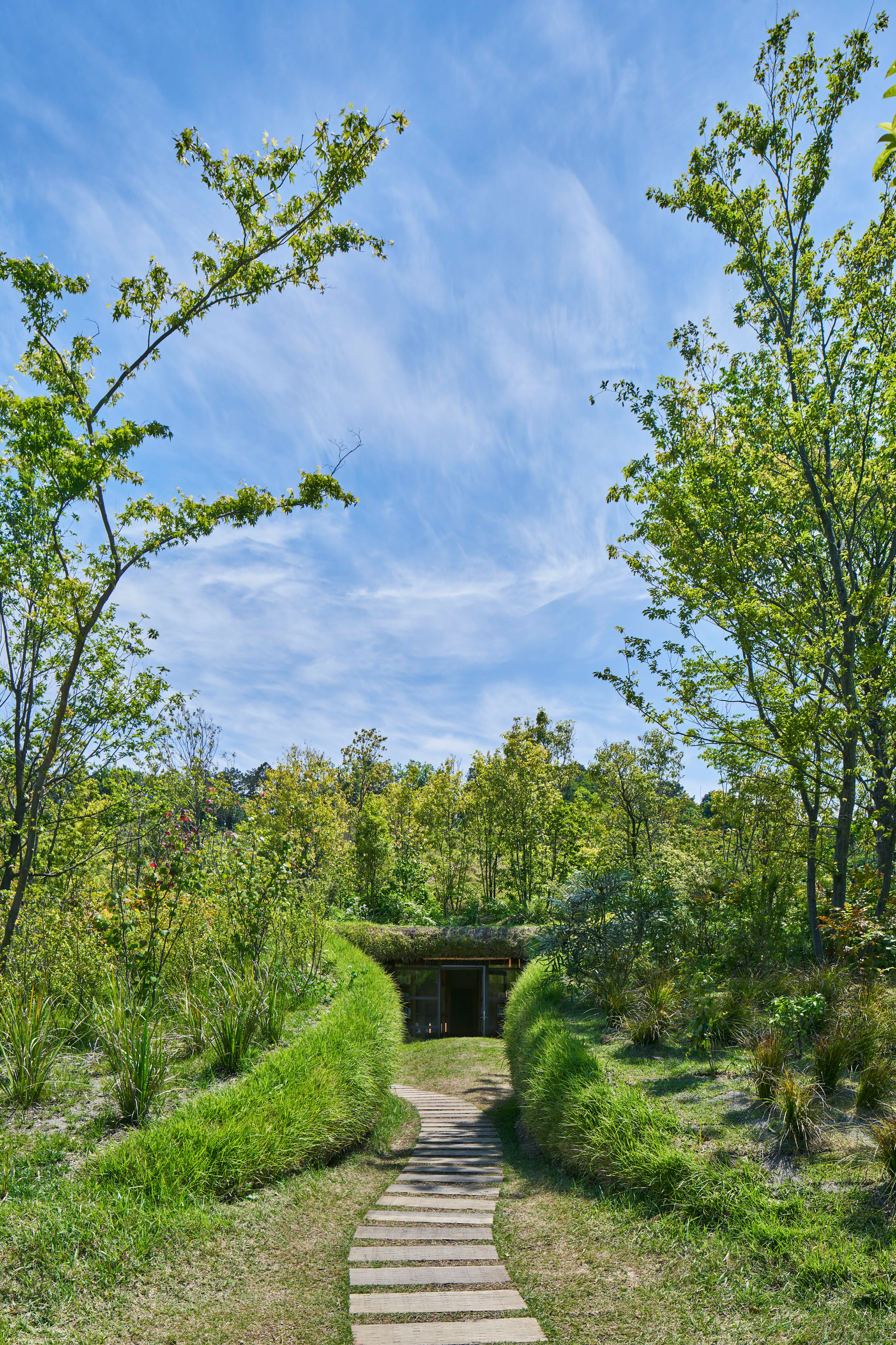 Library in the Earth — 7