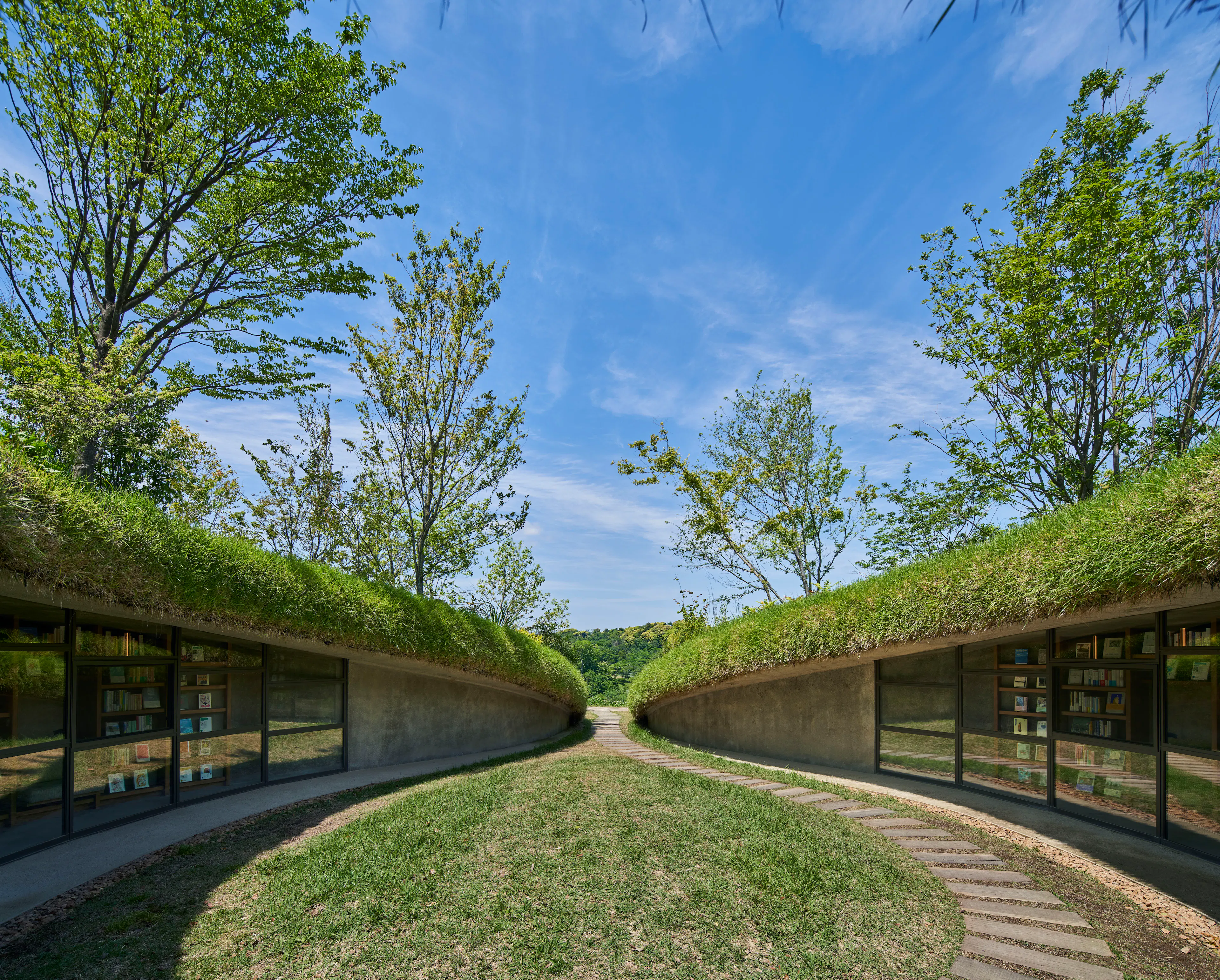 Library in the Earth — 9