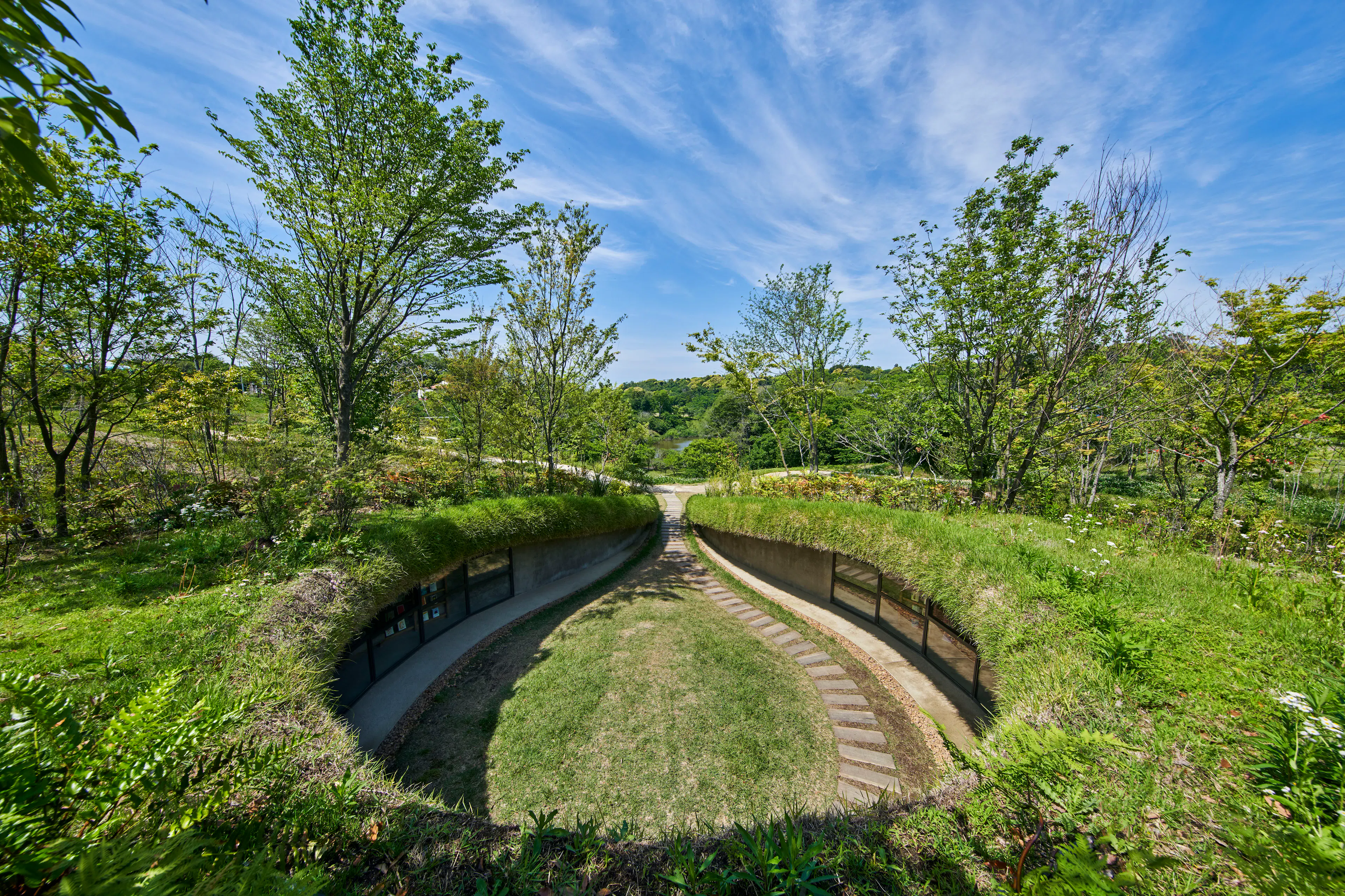 Library in the Earth — 10