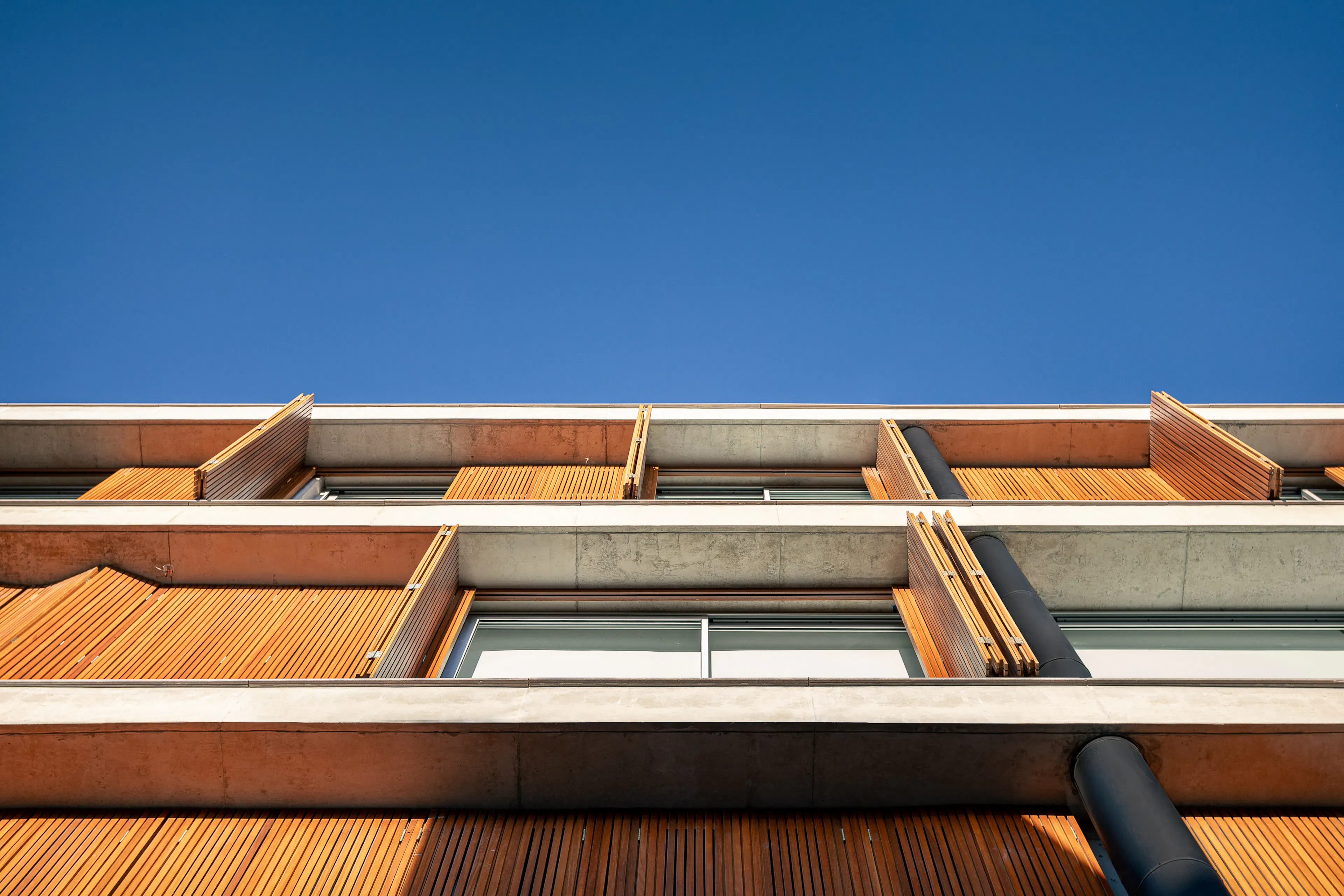 Cap. 1 Três Figueiras — 36