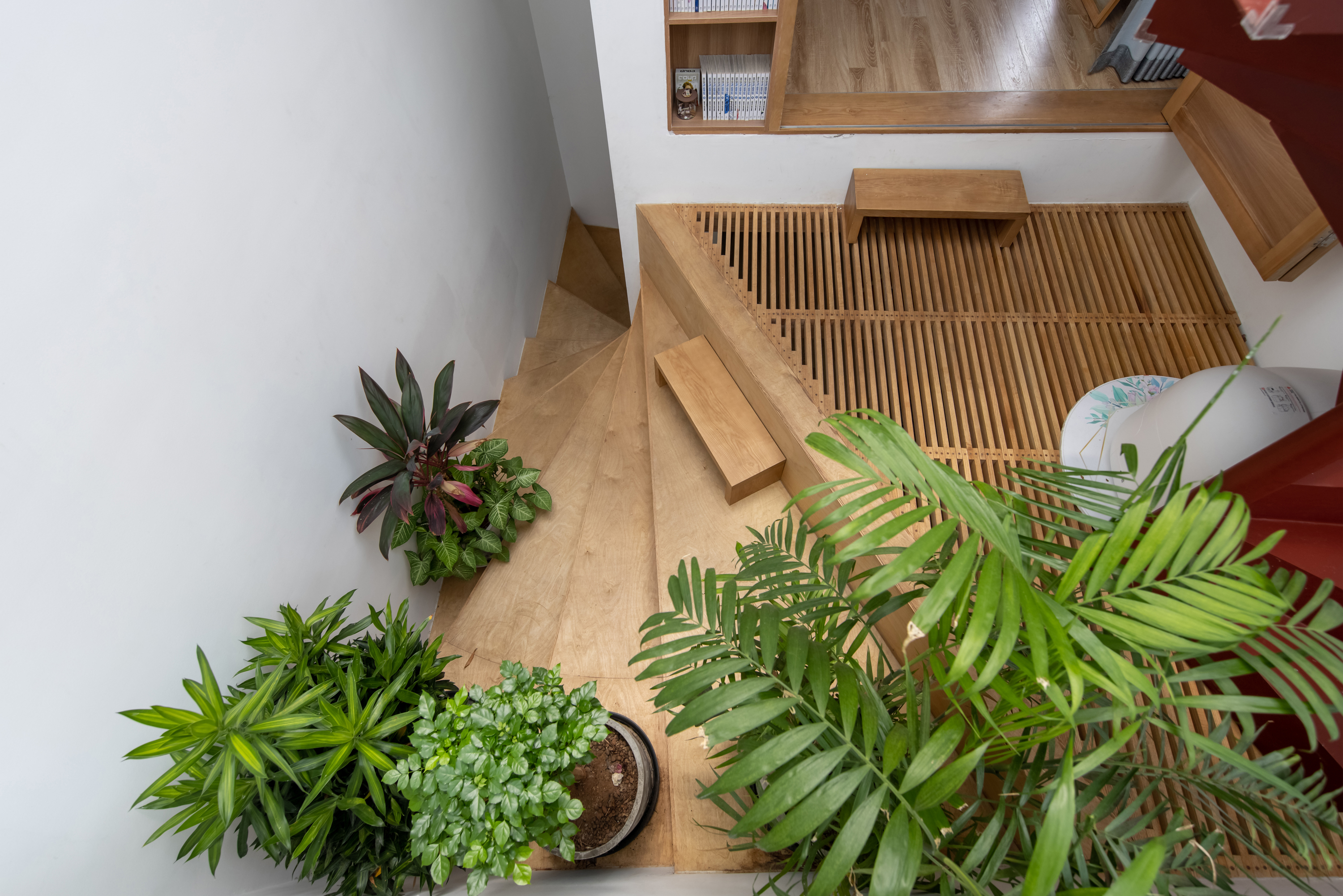 Loli house by t+m design office - Architizer
