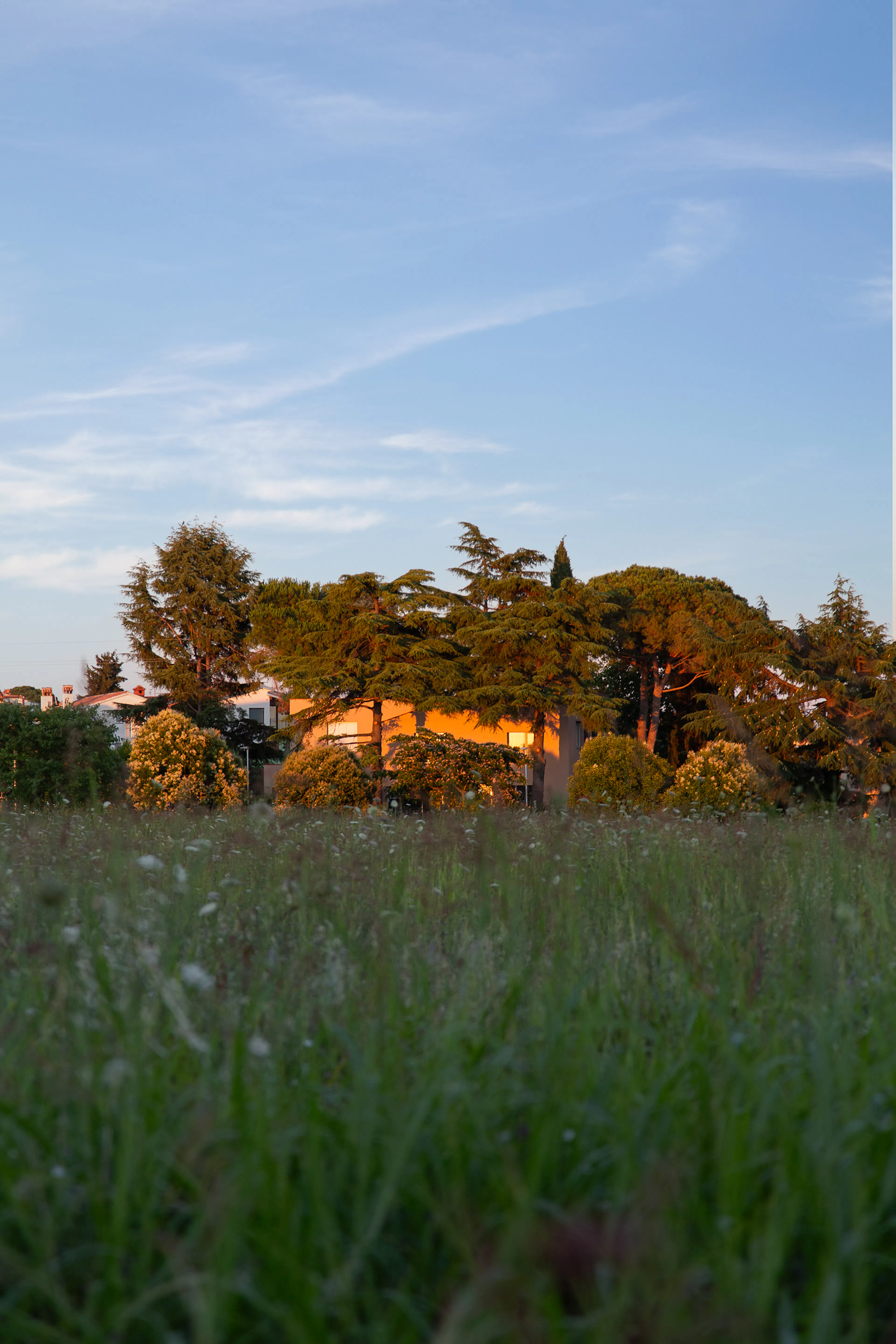 Red soil house — 28