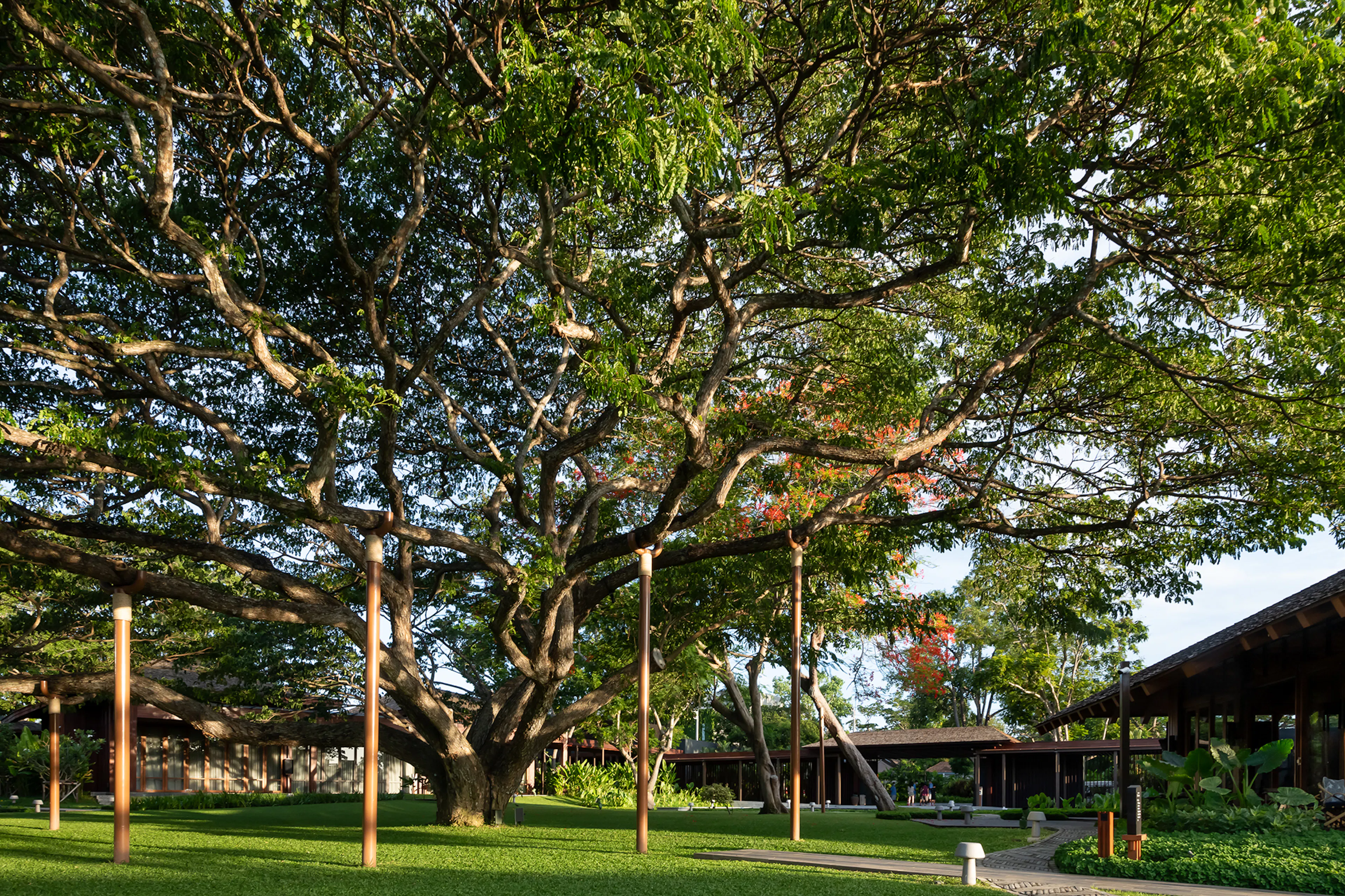 P Landscape Co., Ltd. — 4