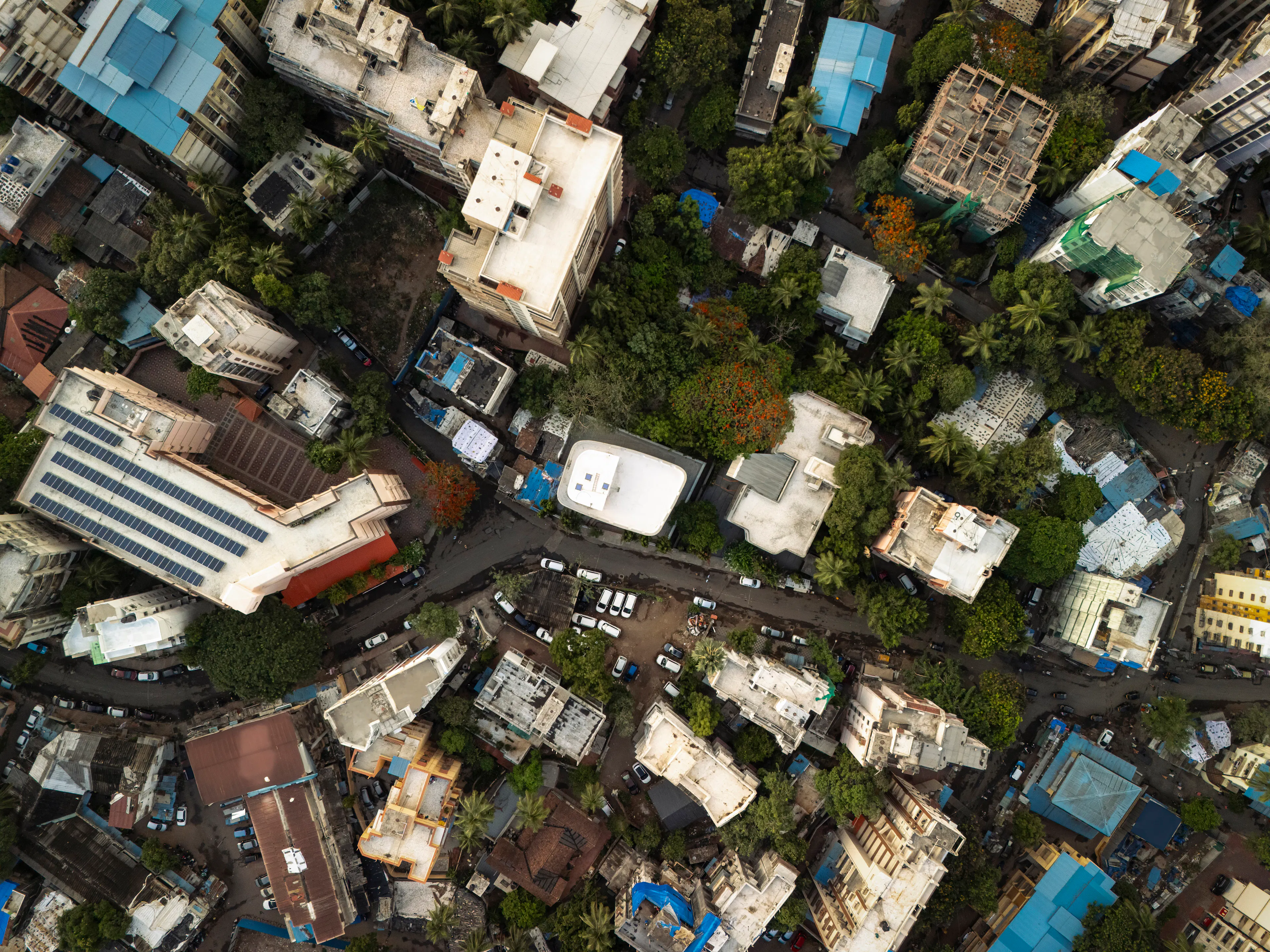 Garden School — 40