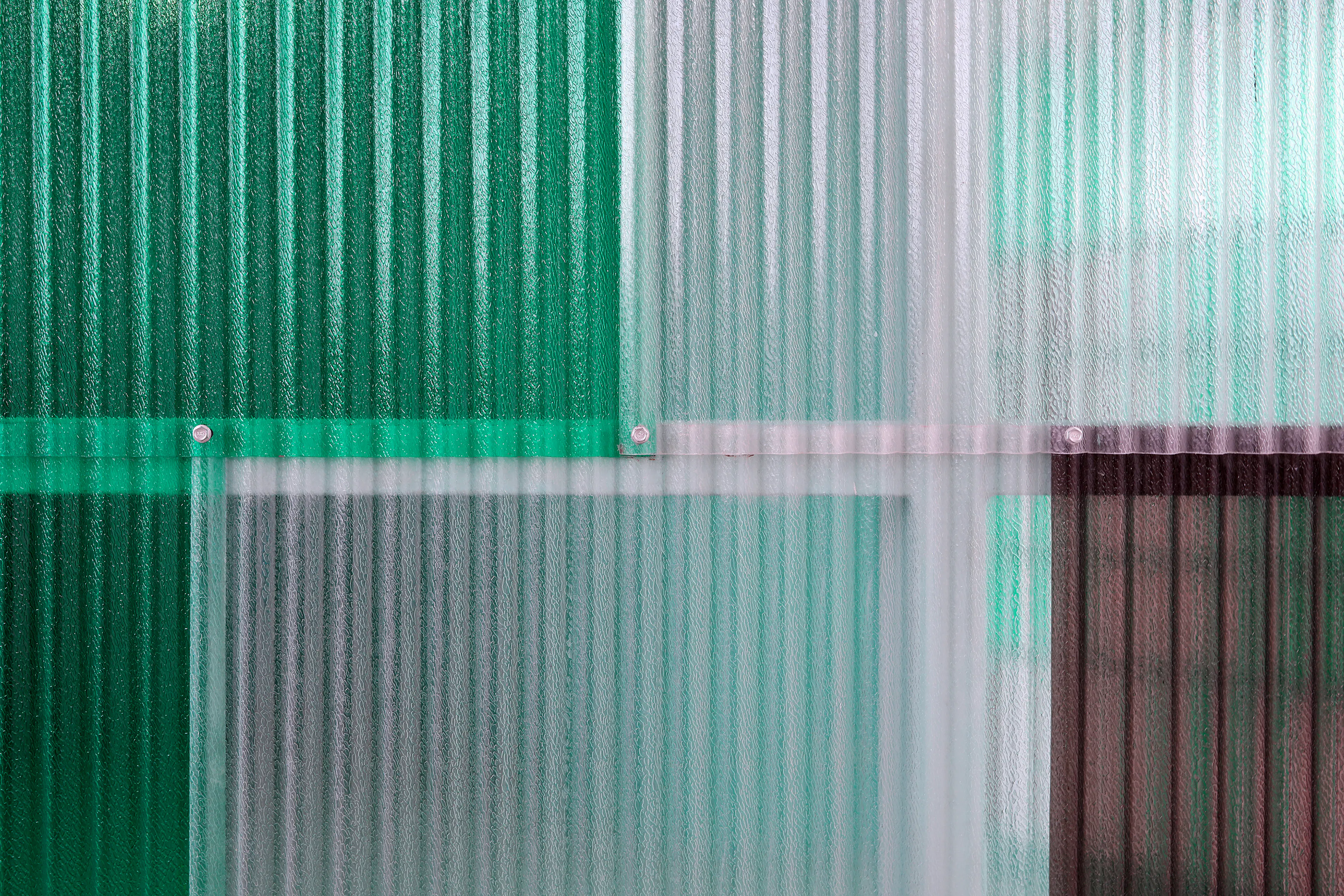 Pampurr Pet Wellness — 7