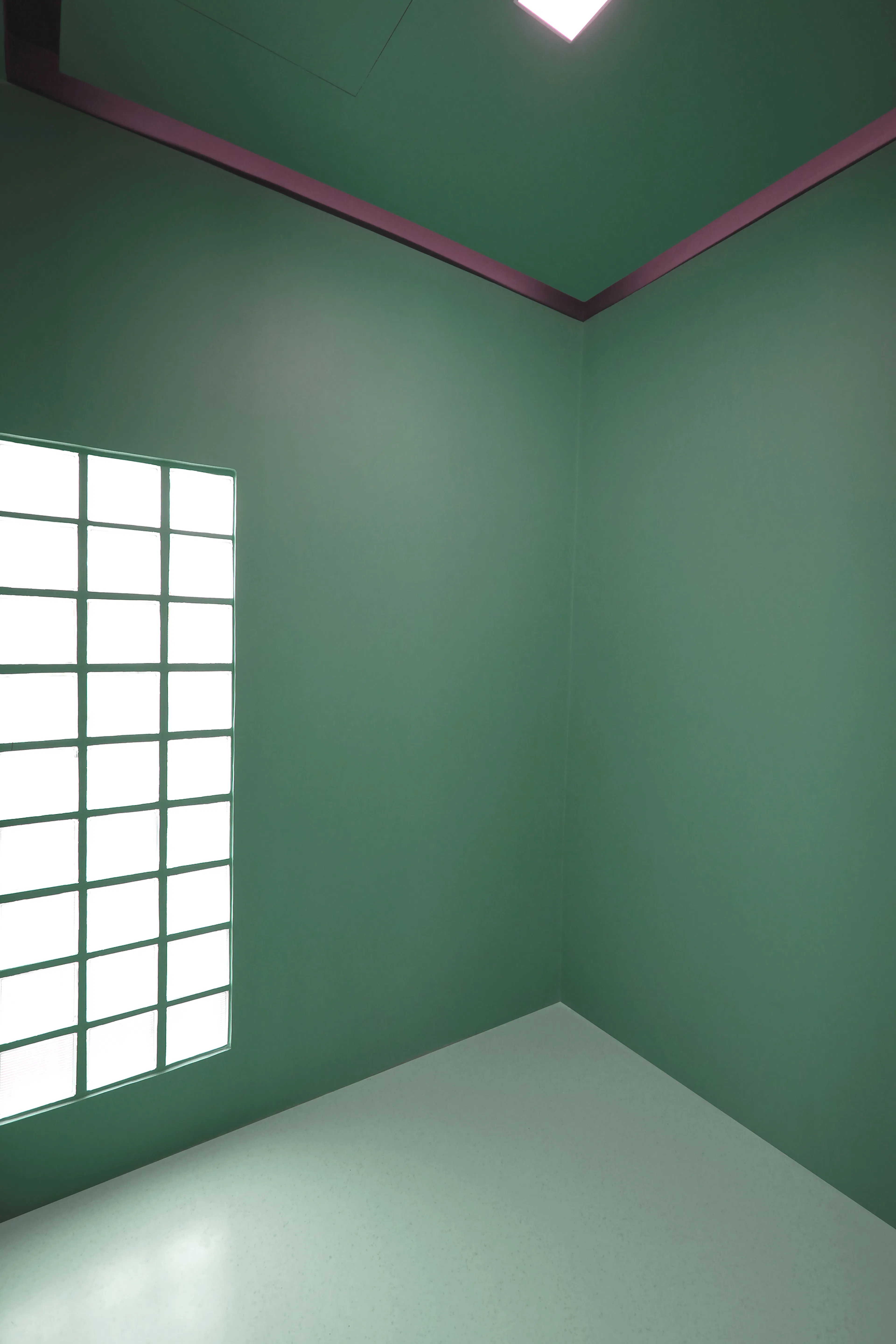 Pampurr Pet Wellness — 22