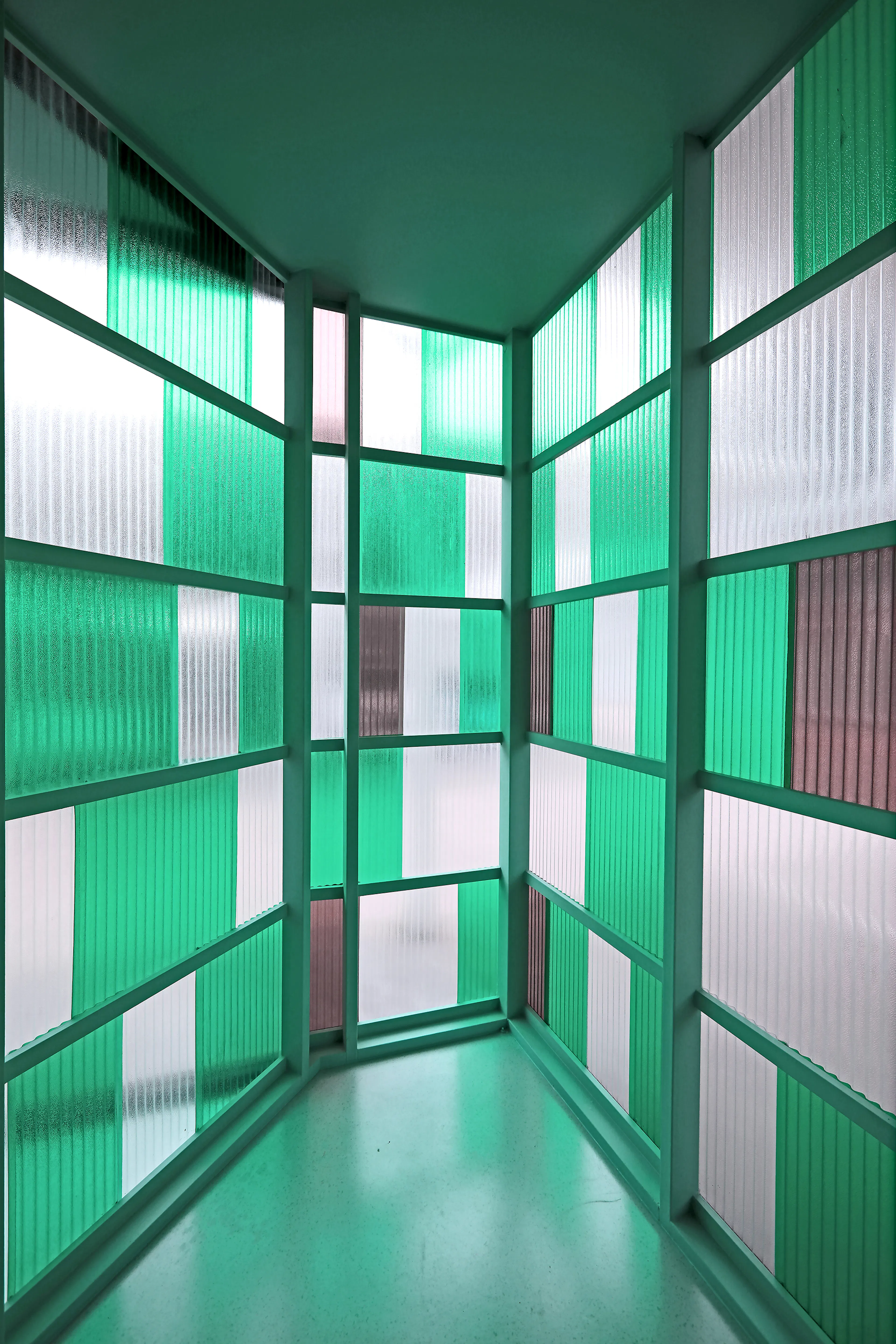 Pampurr Pet Wellness — 26