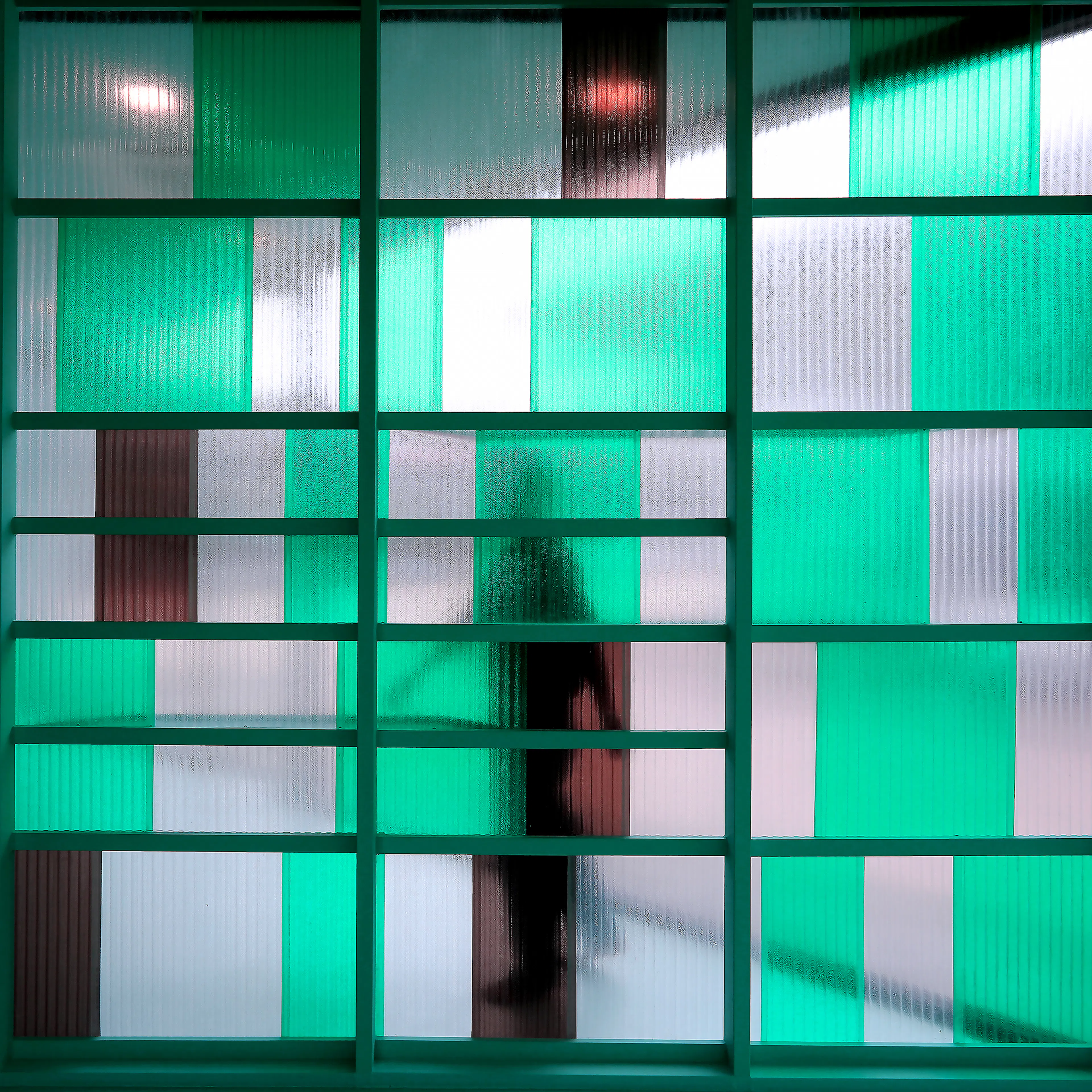 Pampurr Pet Wellness — 28