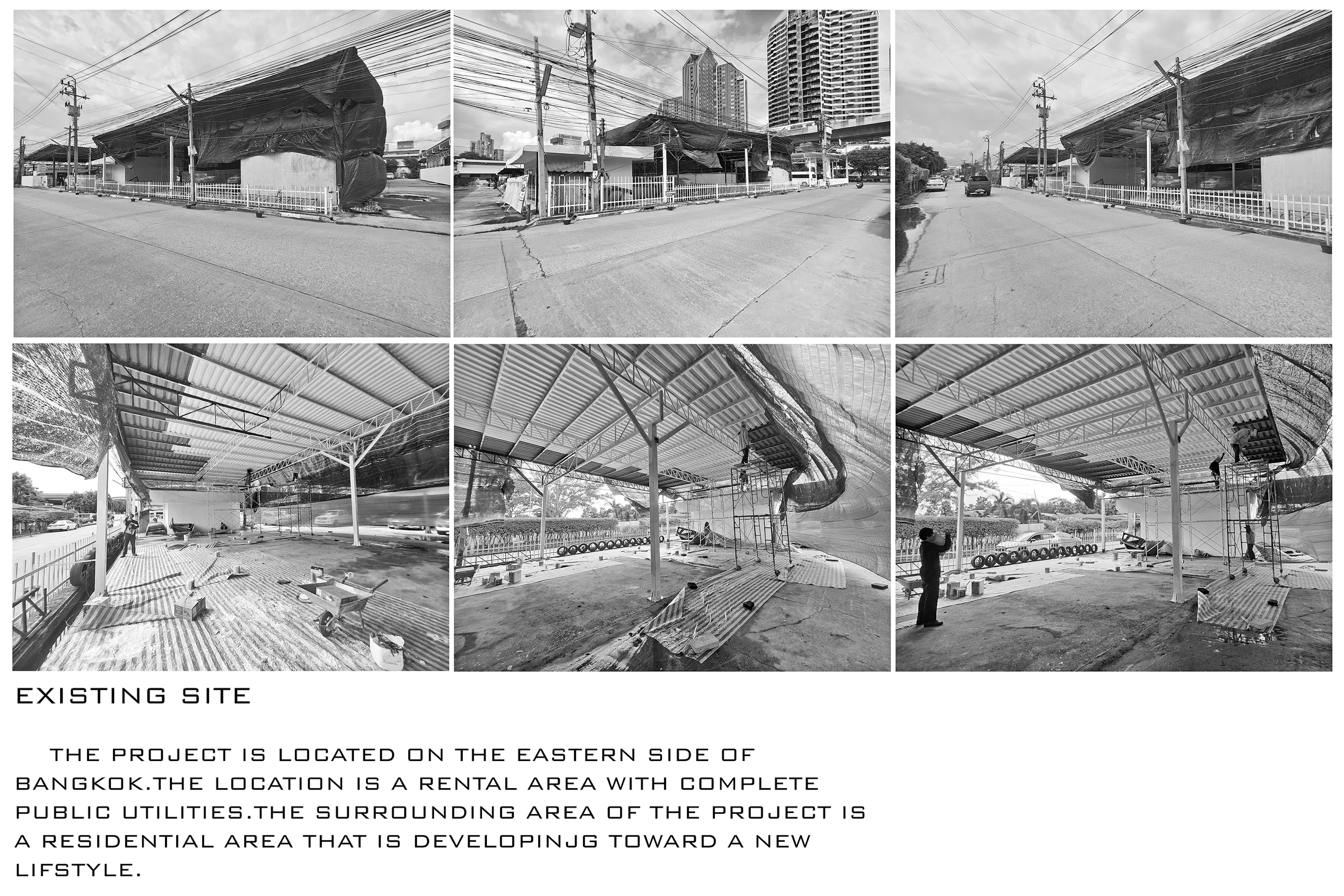 Pampurr Pet Wellness — 36