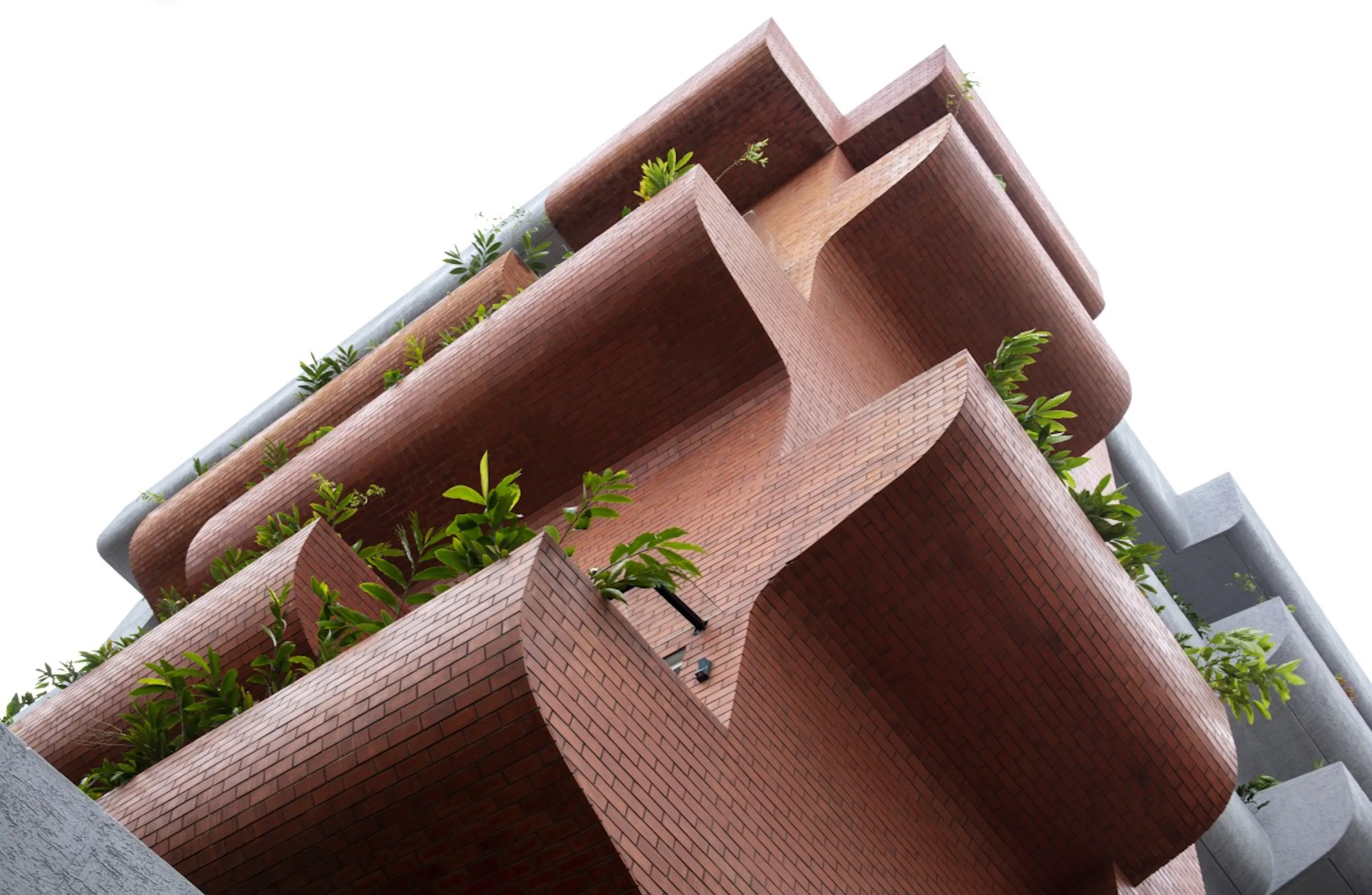 Centre for Inclusive Growth & Competitiveness for Tapmi — 36