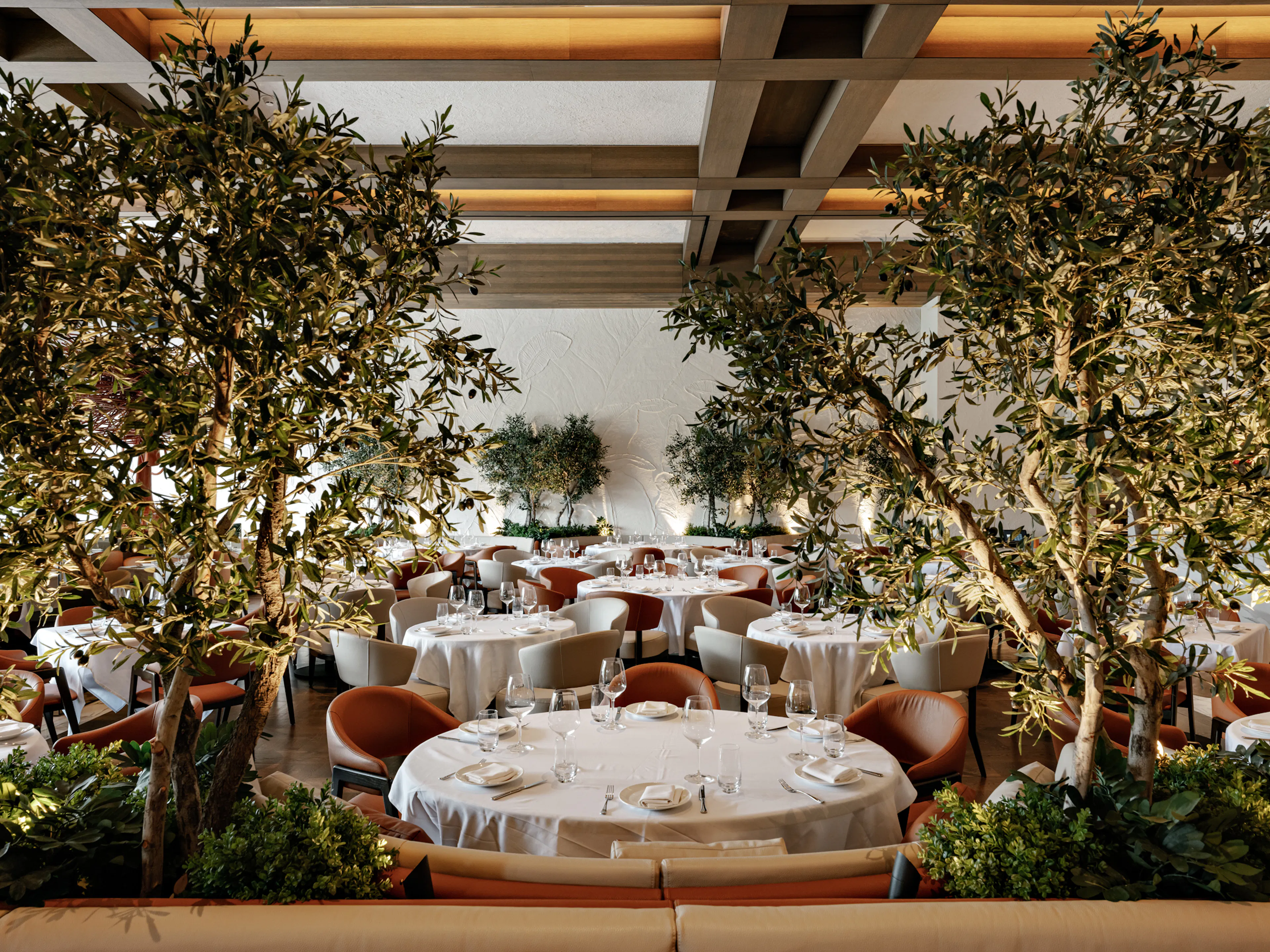 Rising Retreat — 25