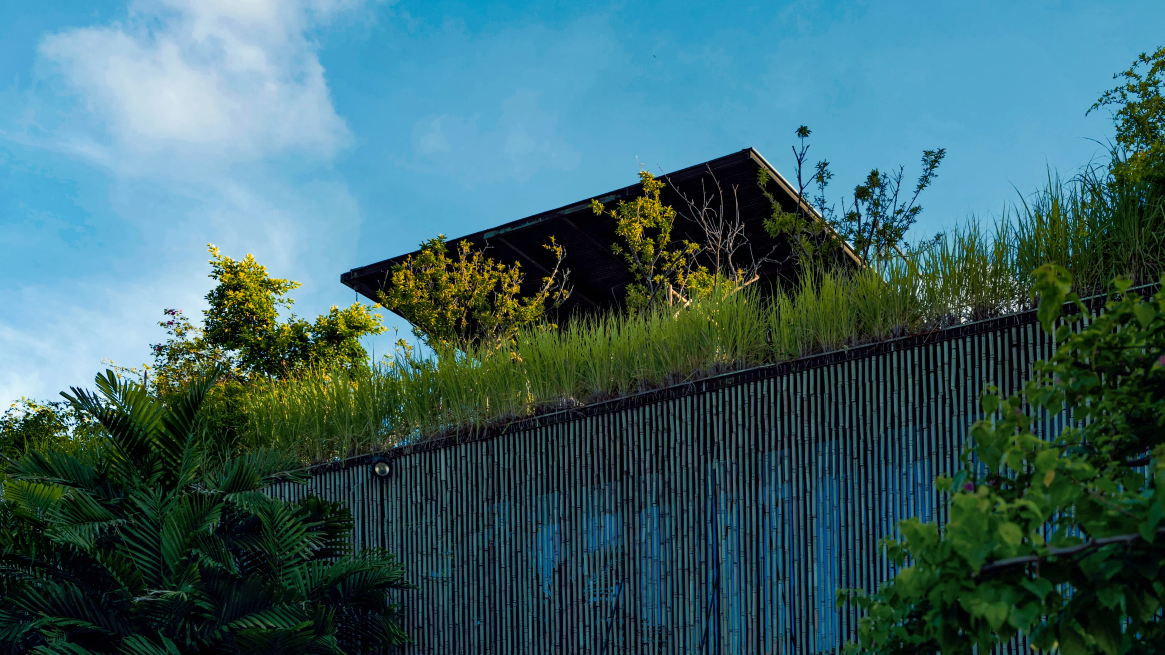 THE VIBES CO-SPACE — 1