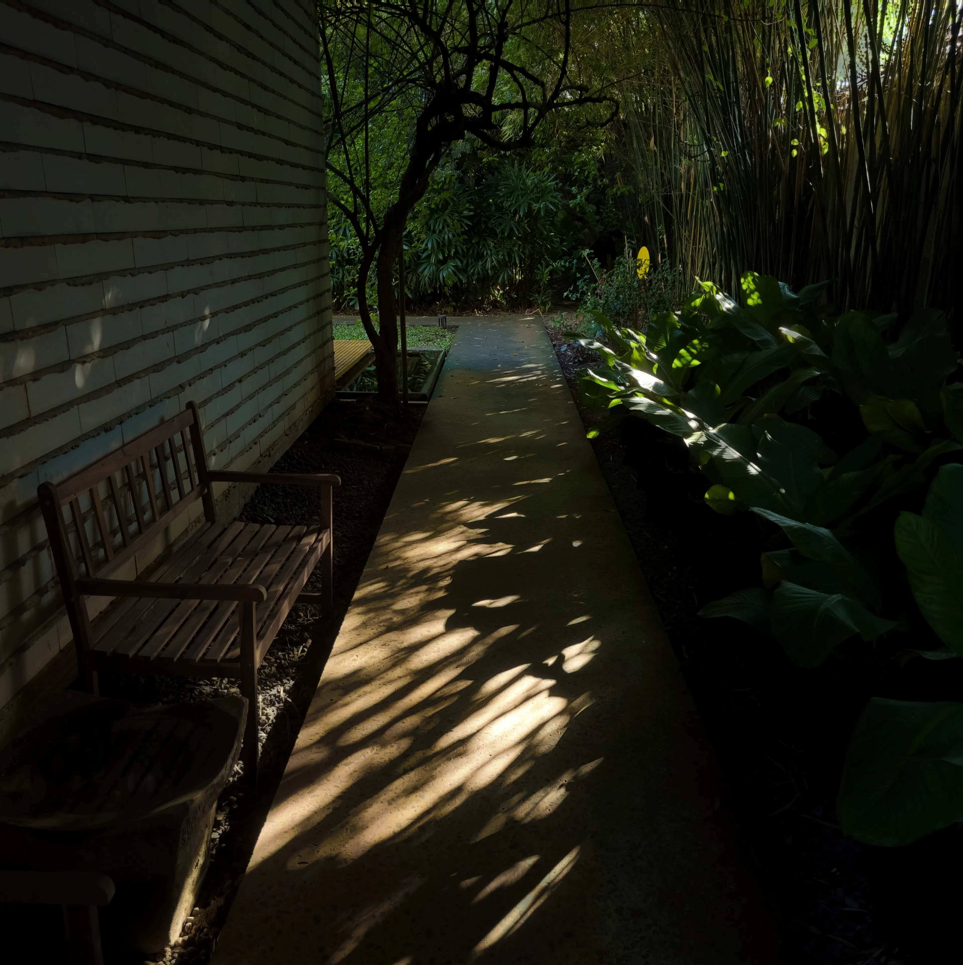 THE VIBES CO-SPACE — 2