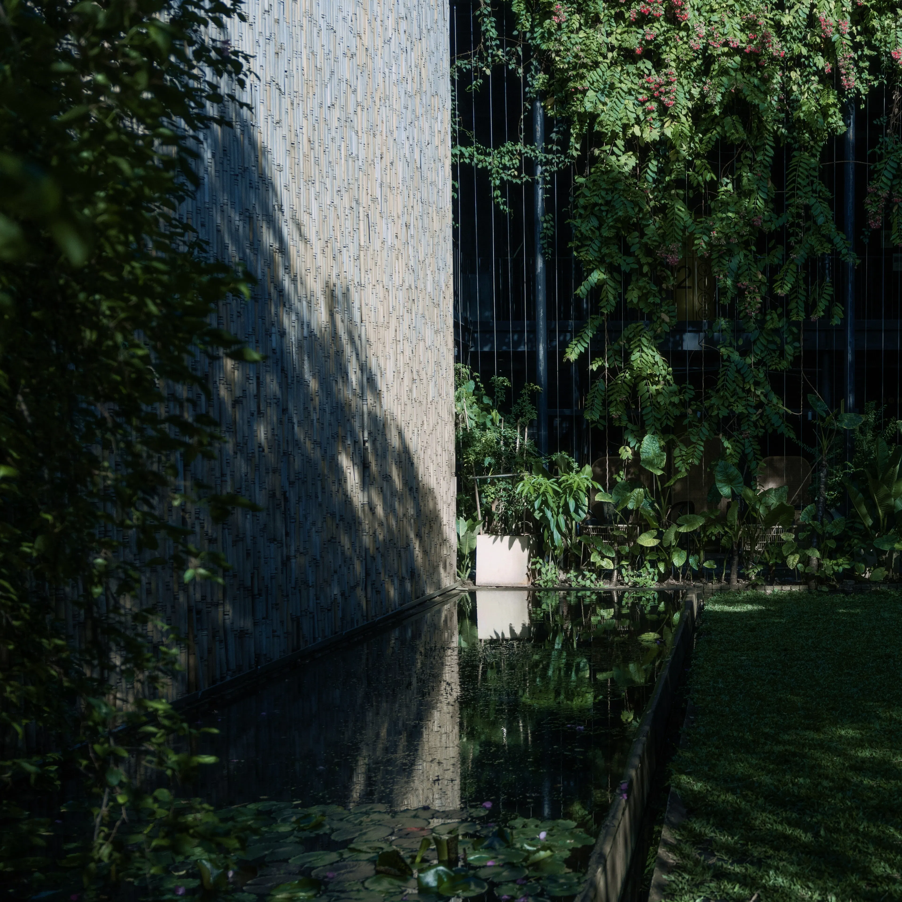 THE VIBES CO-SPACE — 5