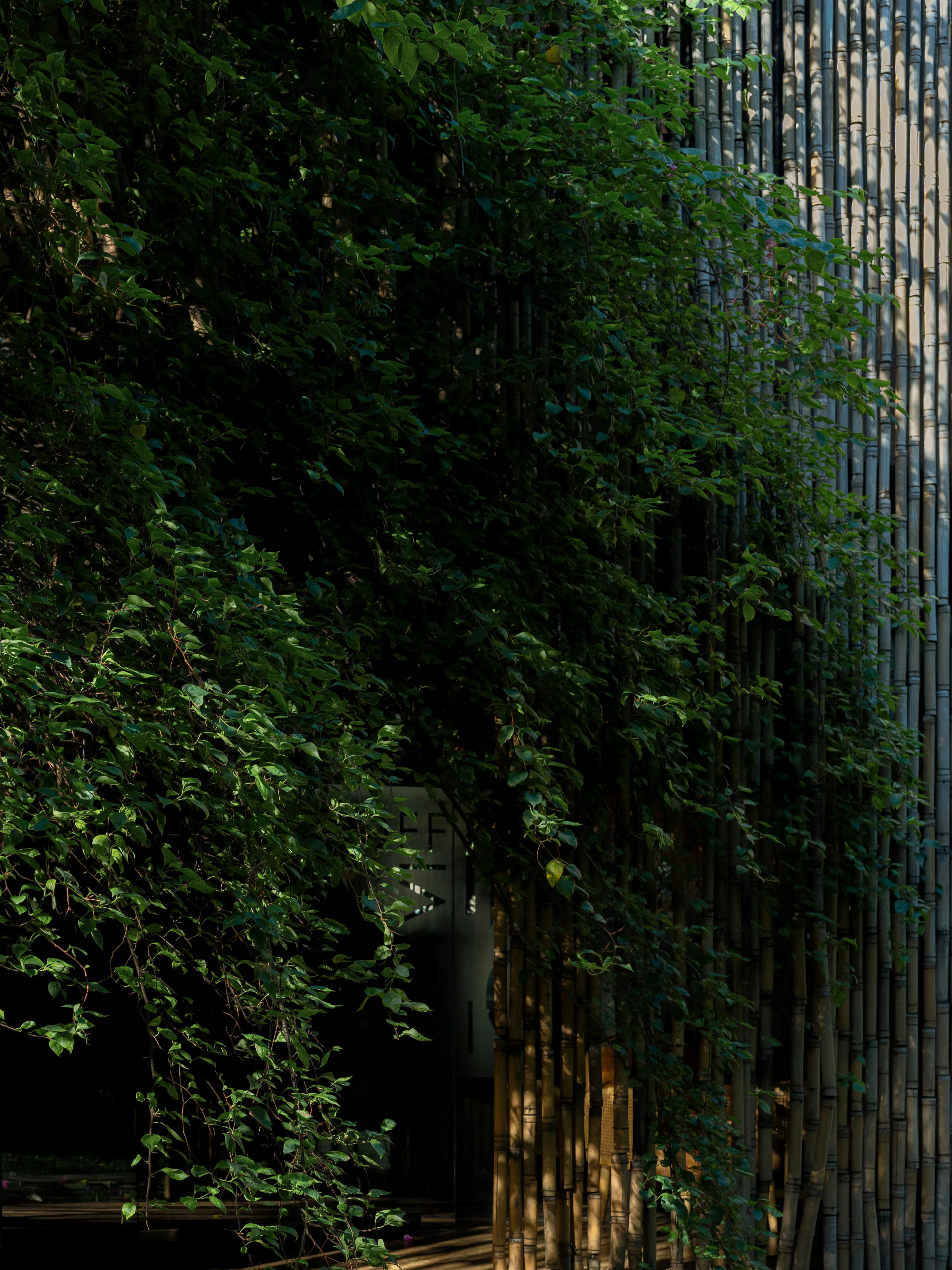 THE VIBES CO-SPACE — 7