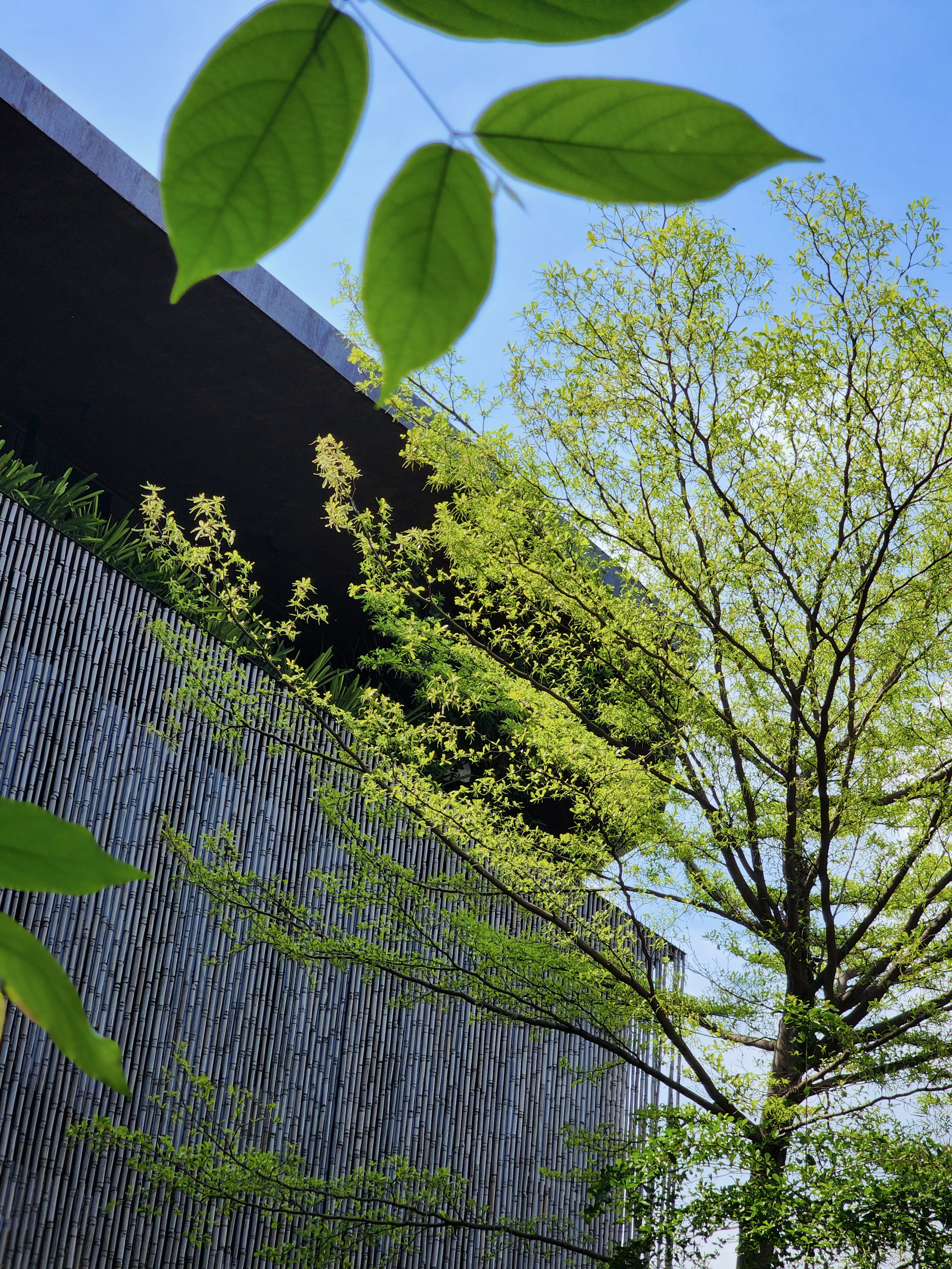 THE VIBES CO-SPACE — 12