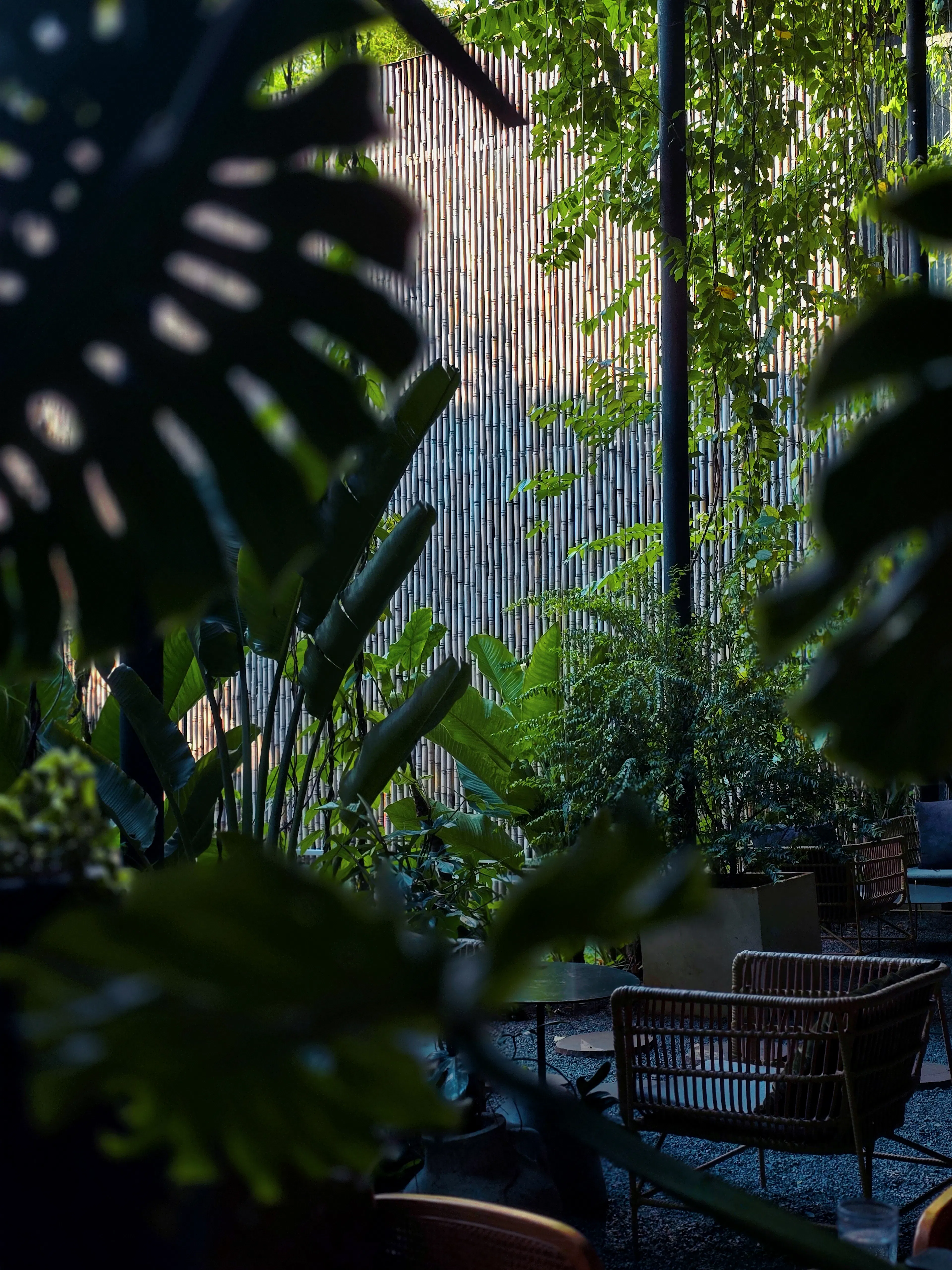 THE VIBES CO-SPACE — 19