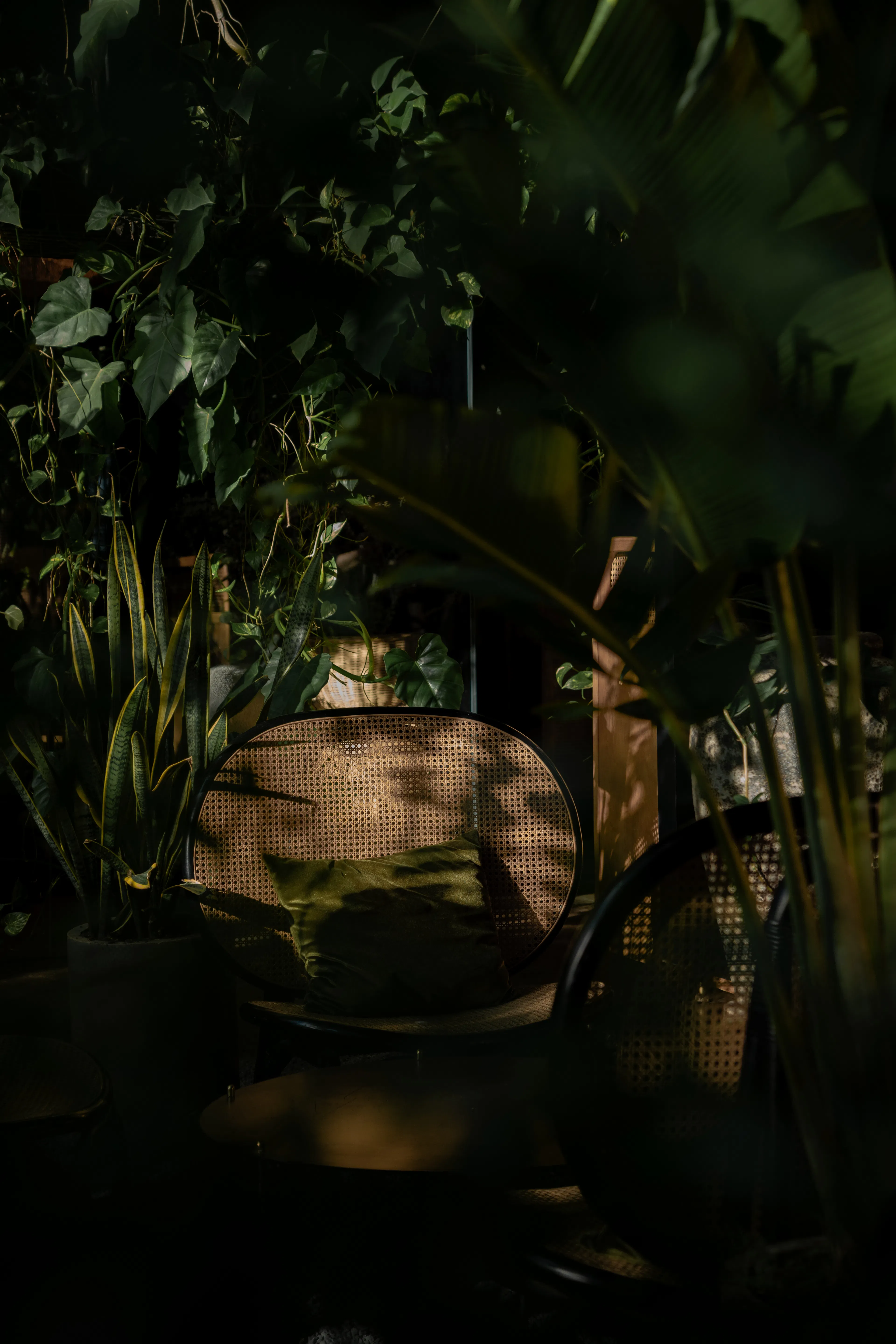 THE VIBES CO-SPACE — 22