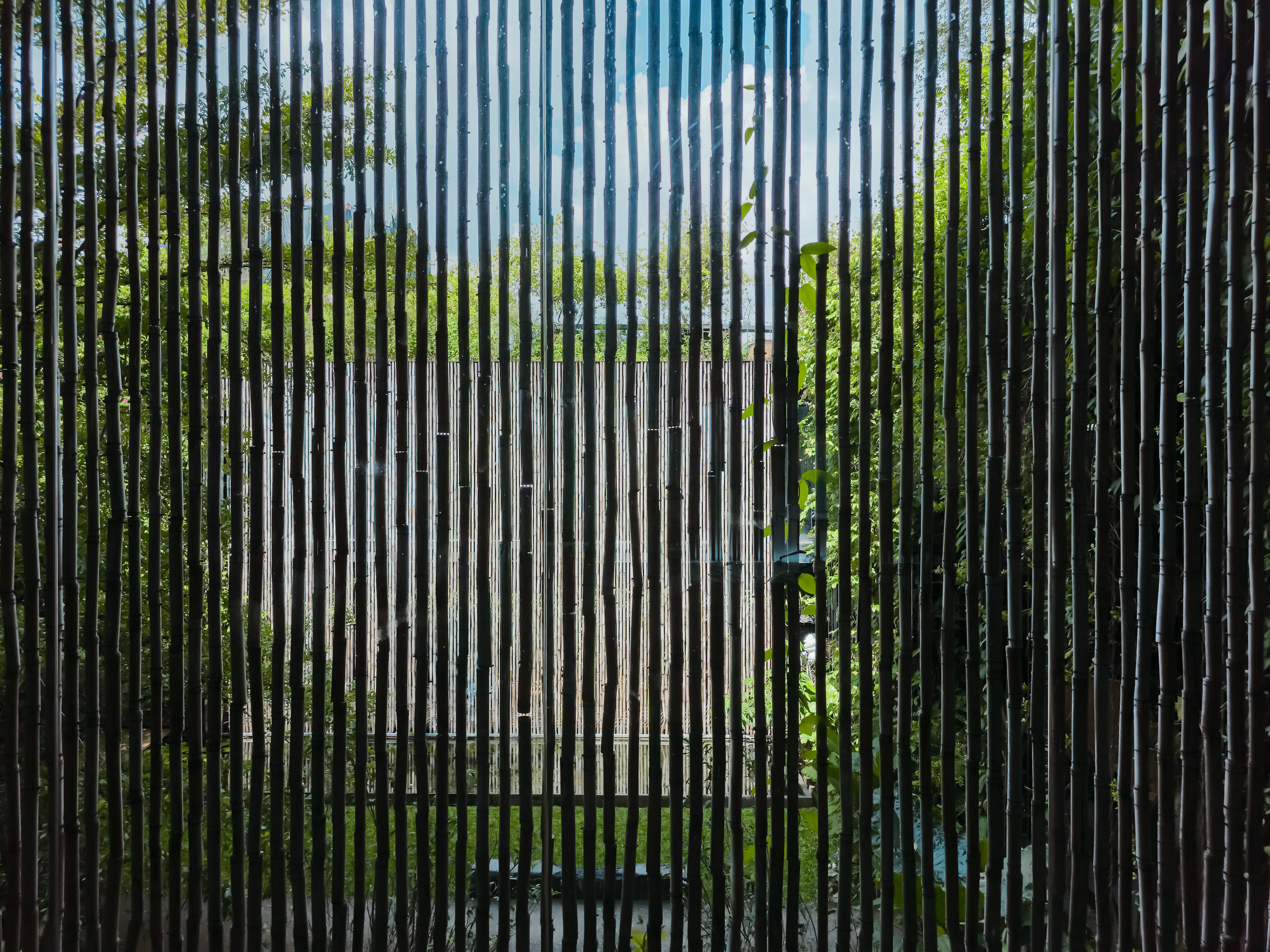 THE VIBES CO-SPACE — 35