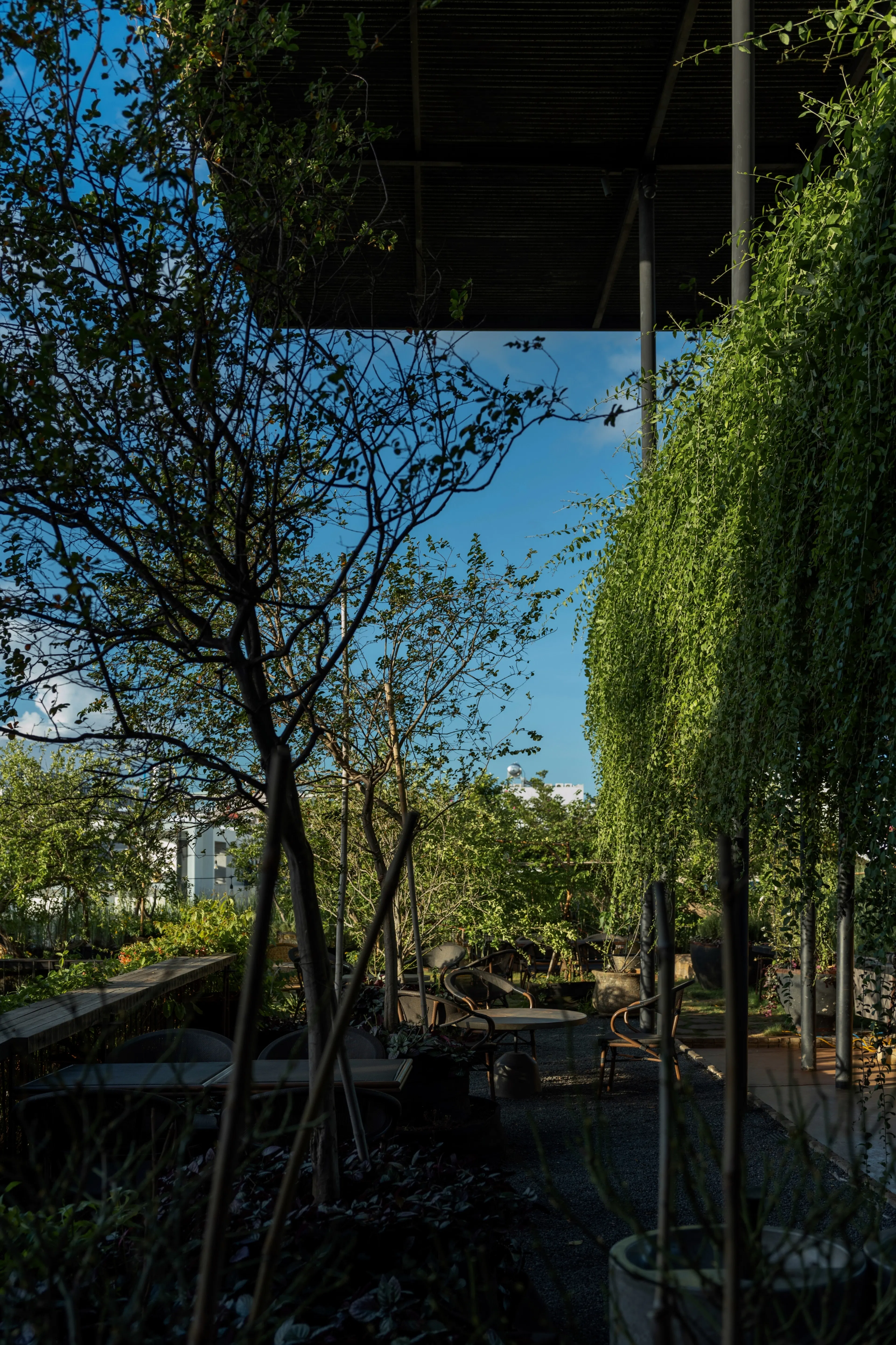 THE VIBES CO-SPACE — 36