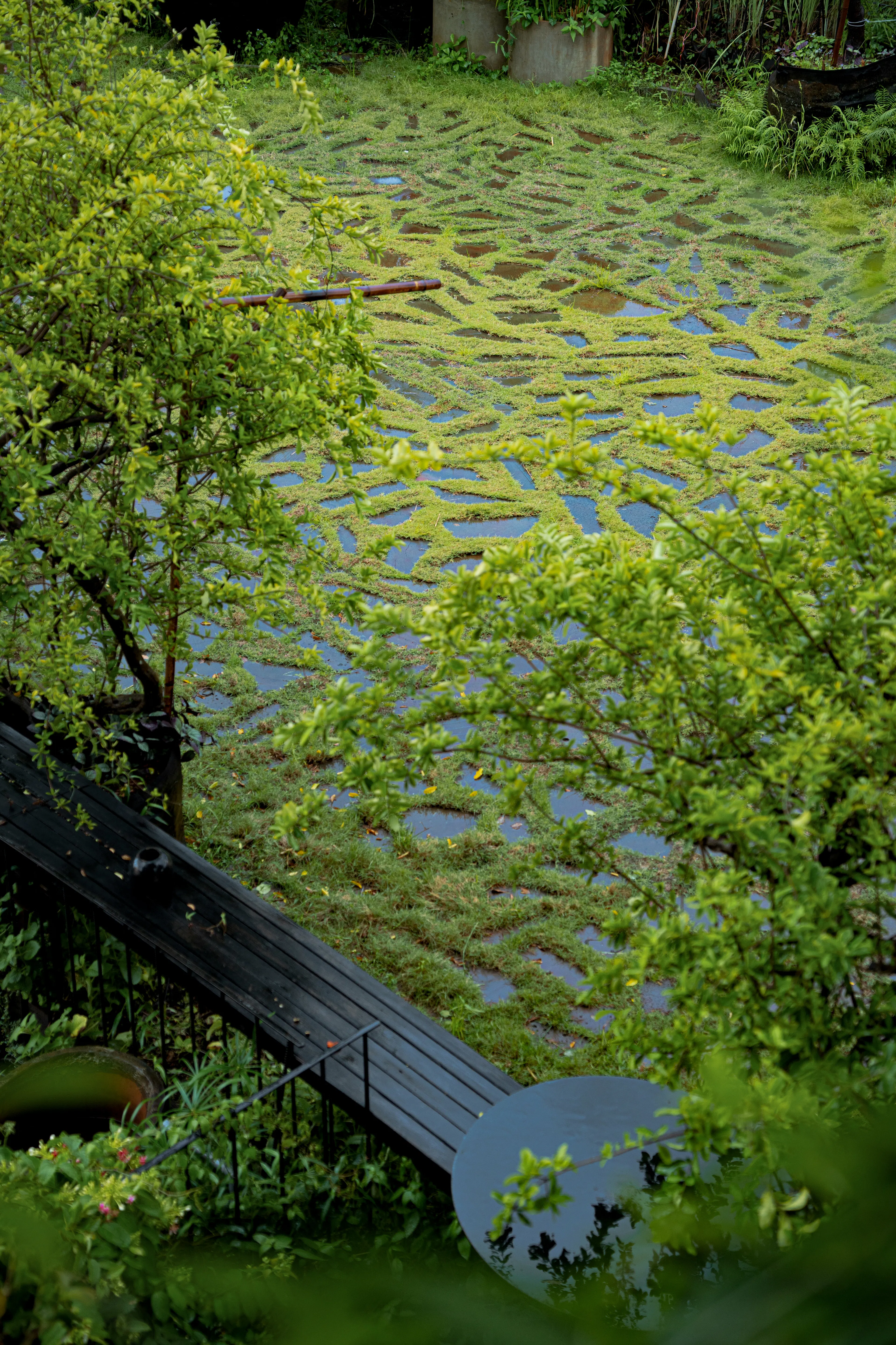 THE VIBES CO-SPACE — 37