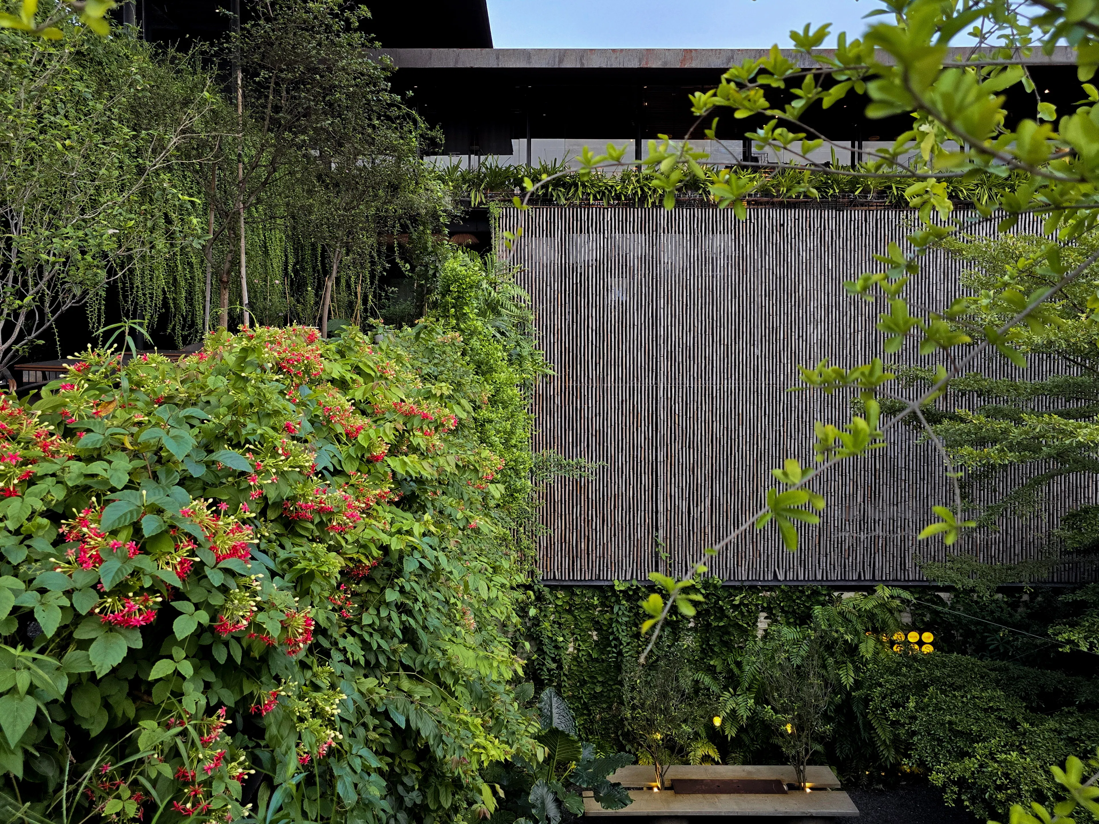 THE VIBES CO-SPACE — 45