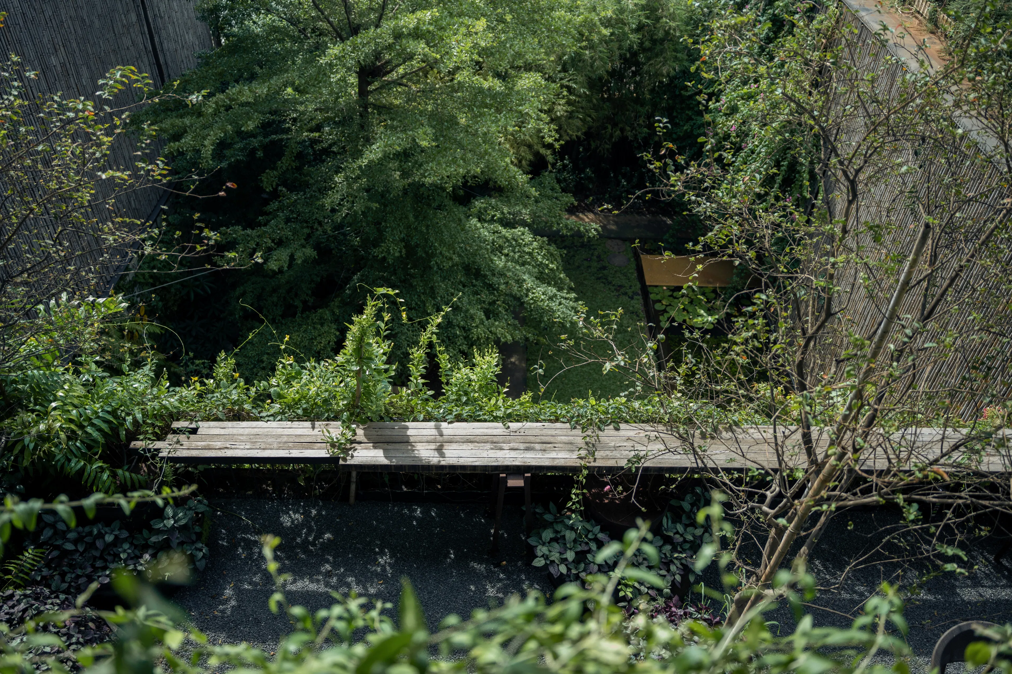 THE VIBES CO-SPACE — 50