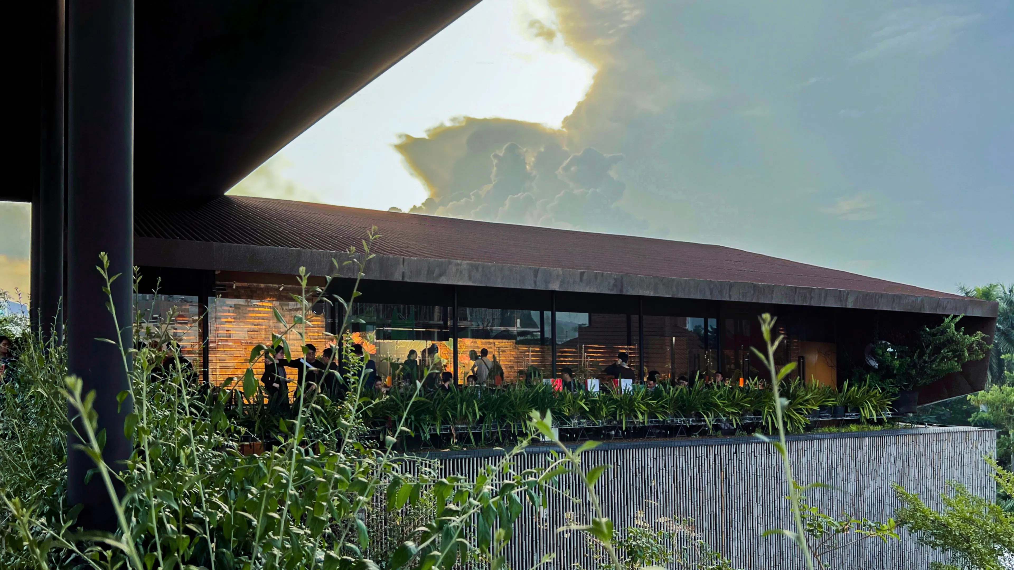 THE VIBES CO-SPACE — 49