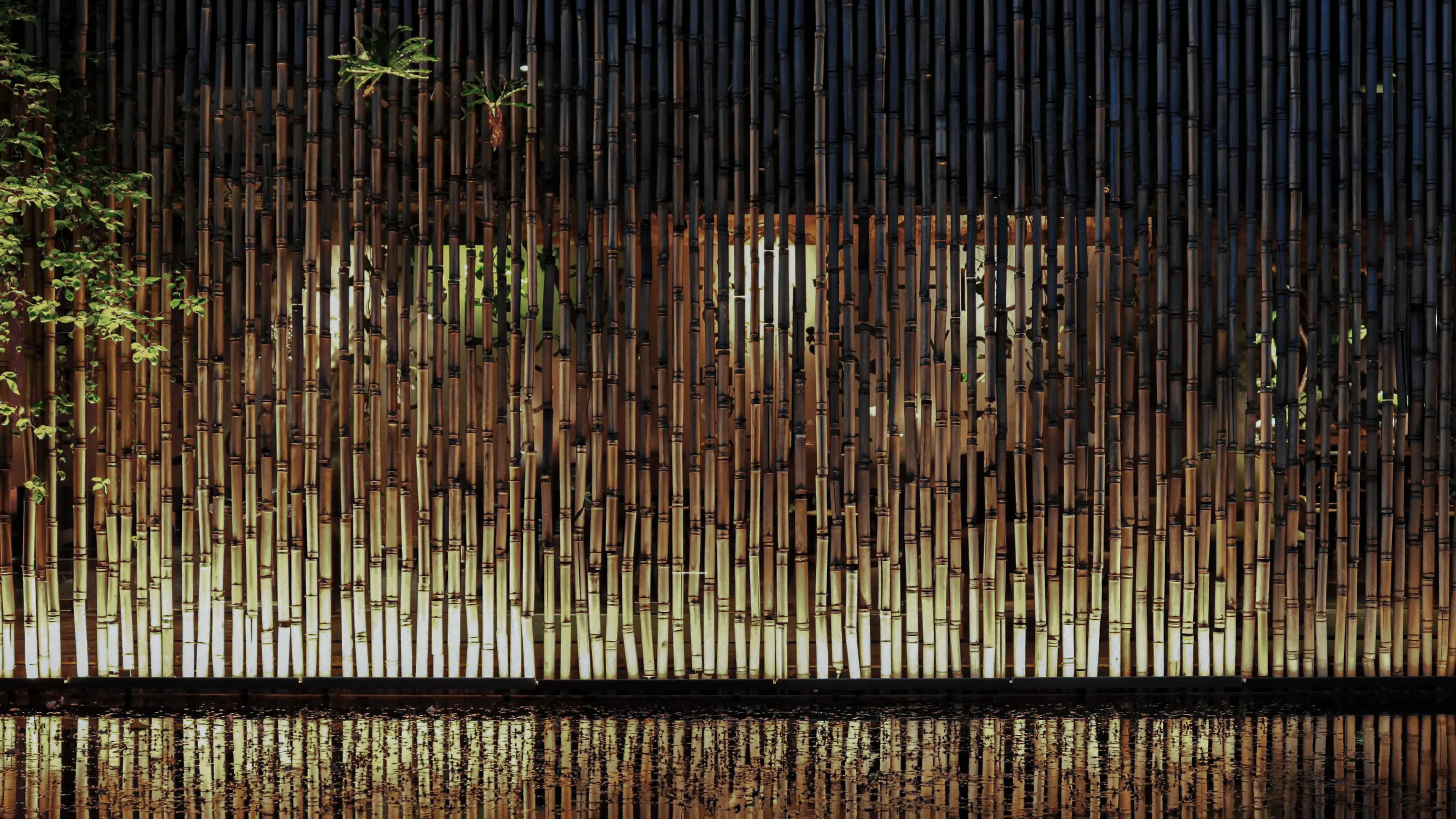 THE VIBES CO-SPACE — 51