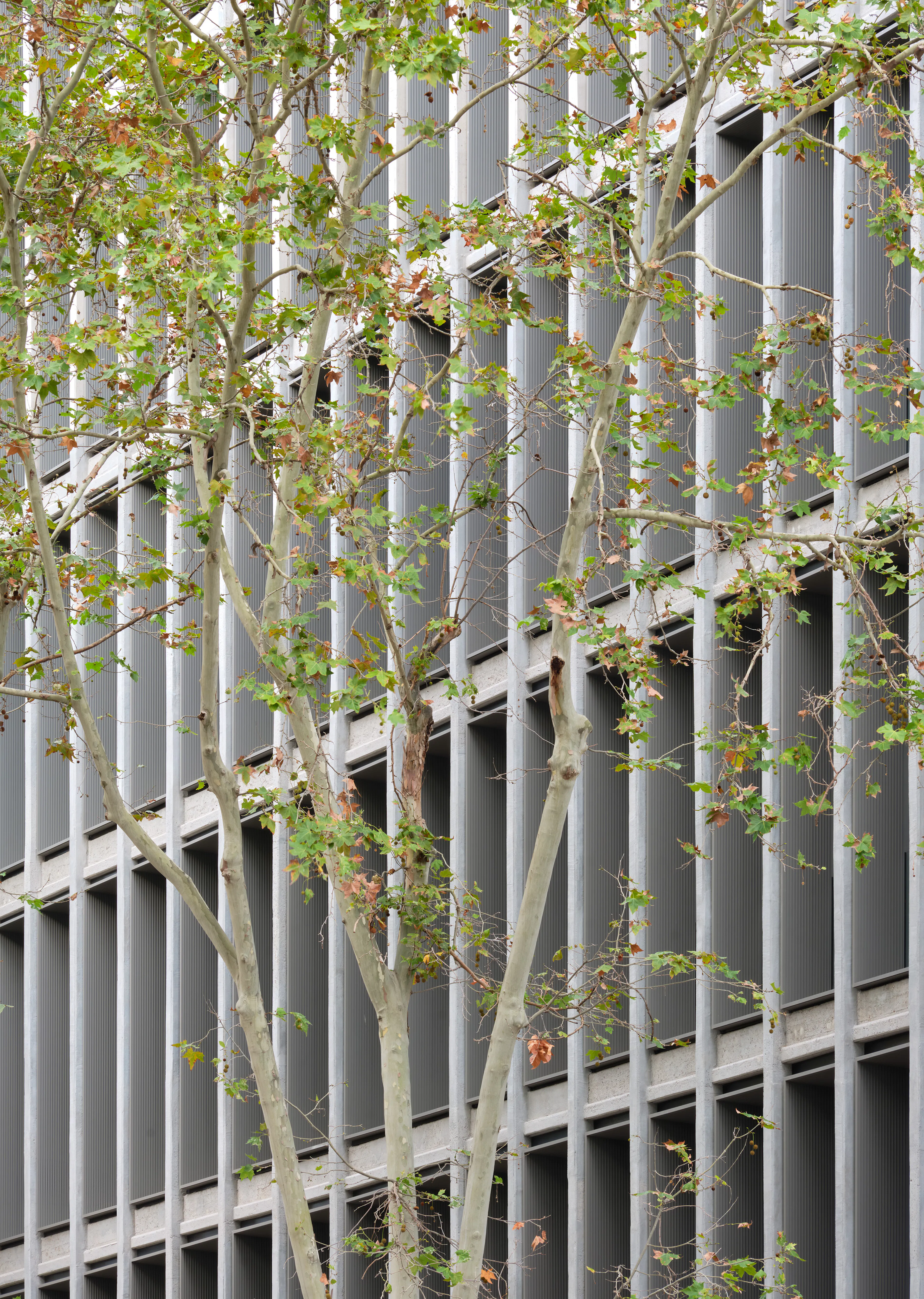 SWITCH - New Simon Headquarters — 6