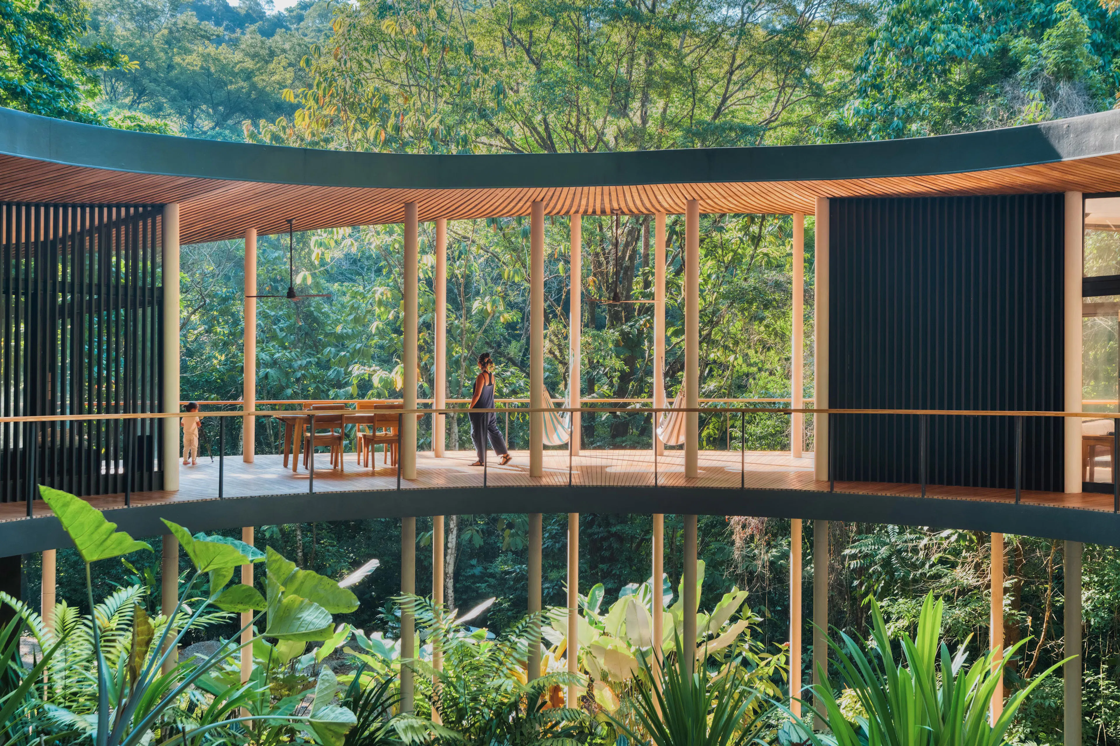 Sinfonía Verde — 7