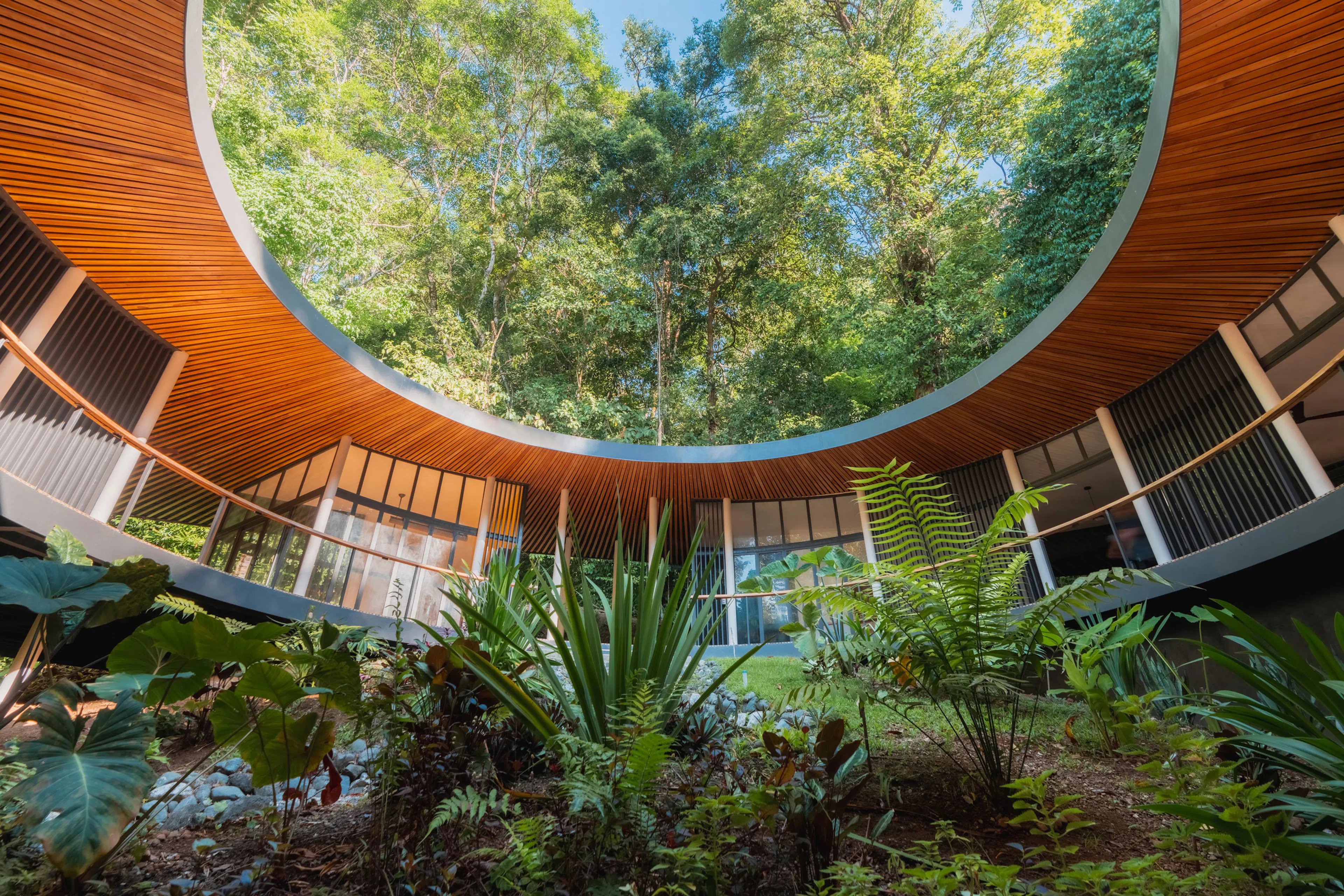 Sinfonía Verde — 9