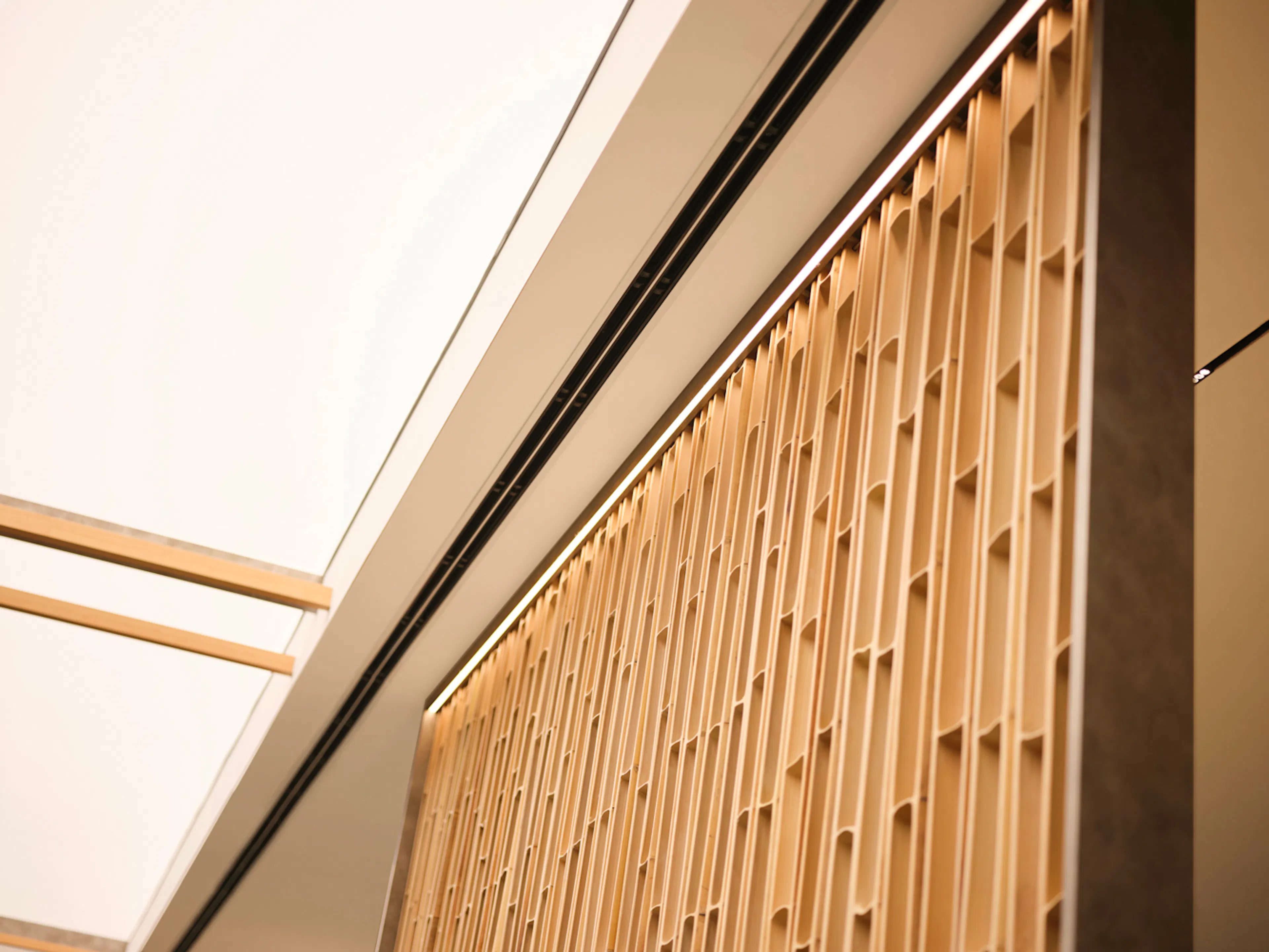 In the Depths of the Bamboo Grove: JNBY+ Store — 16