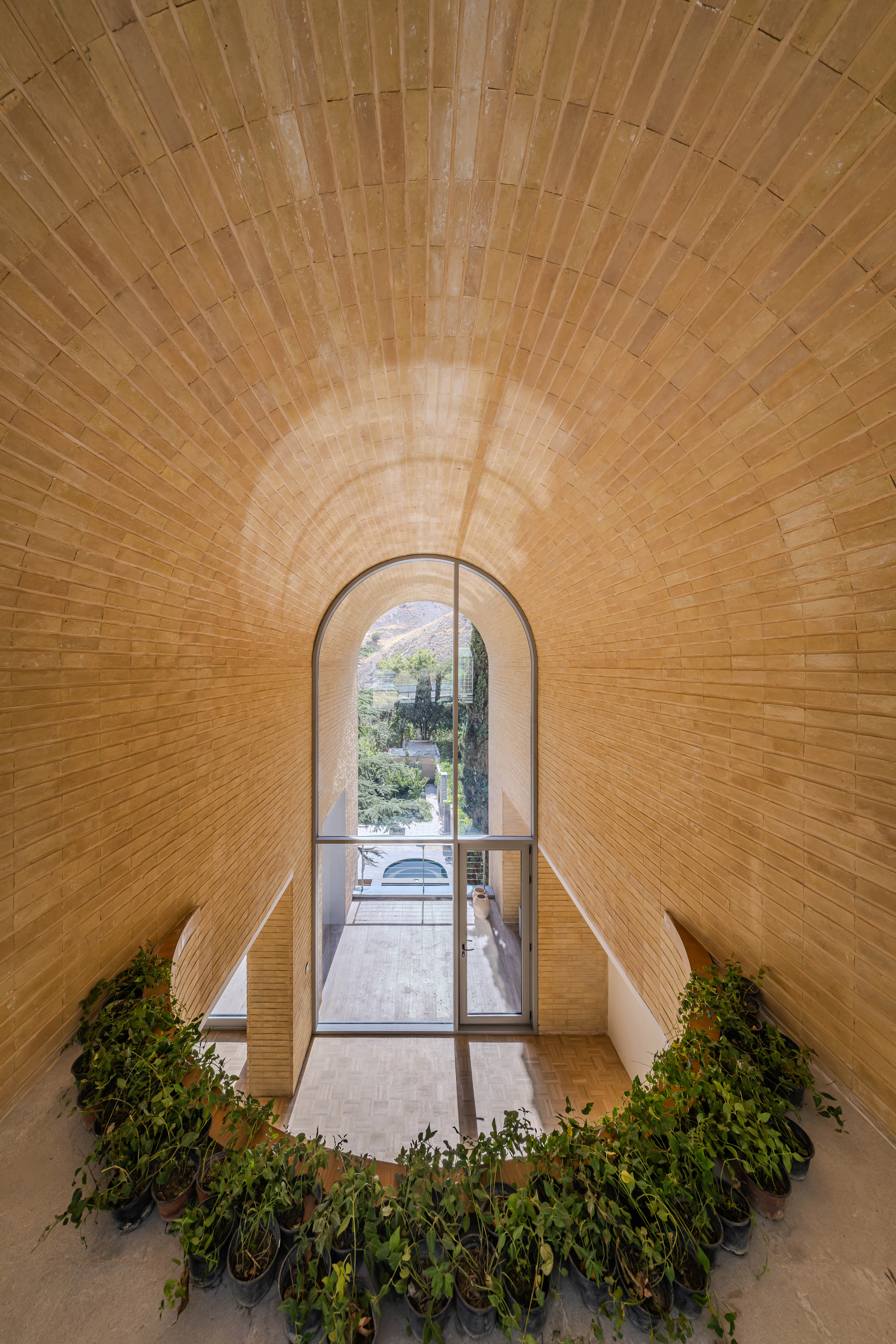A House Looking to a Cedrus Tree — 1