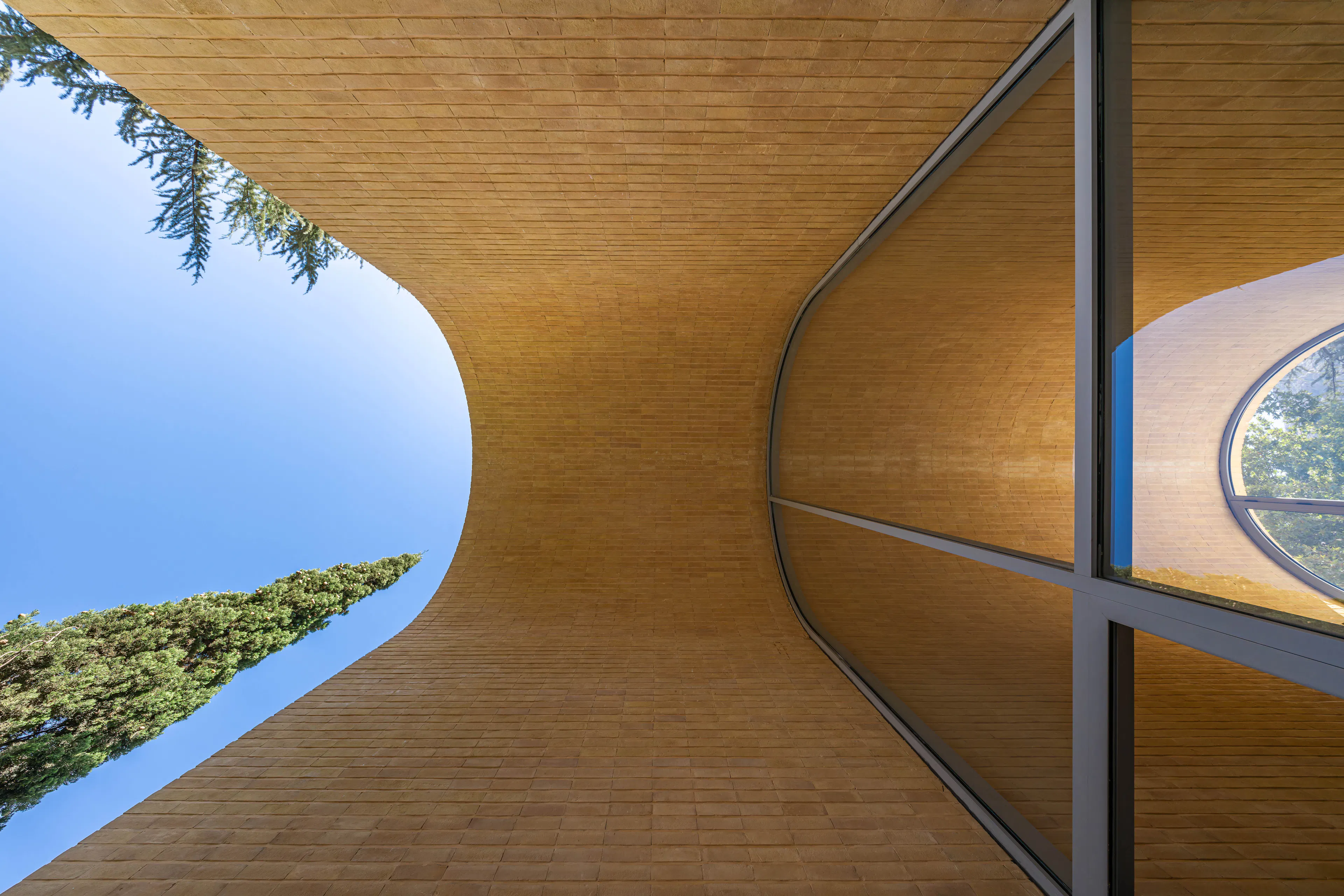 A House Looking to a Cedrus Tree