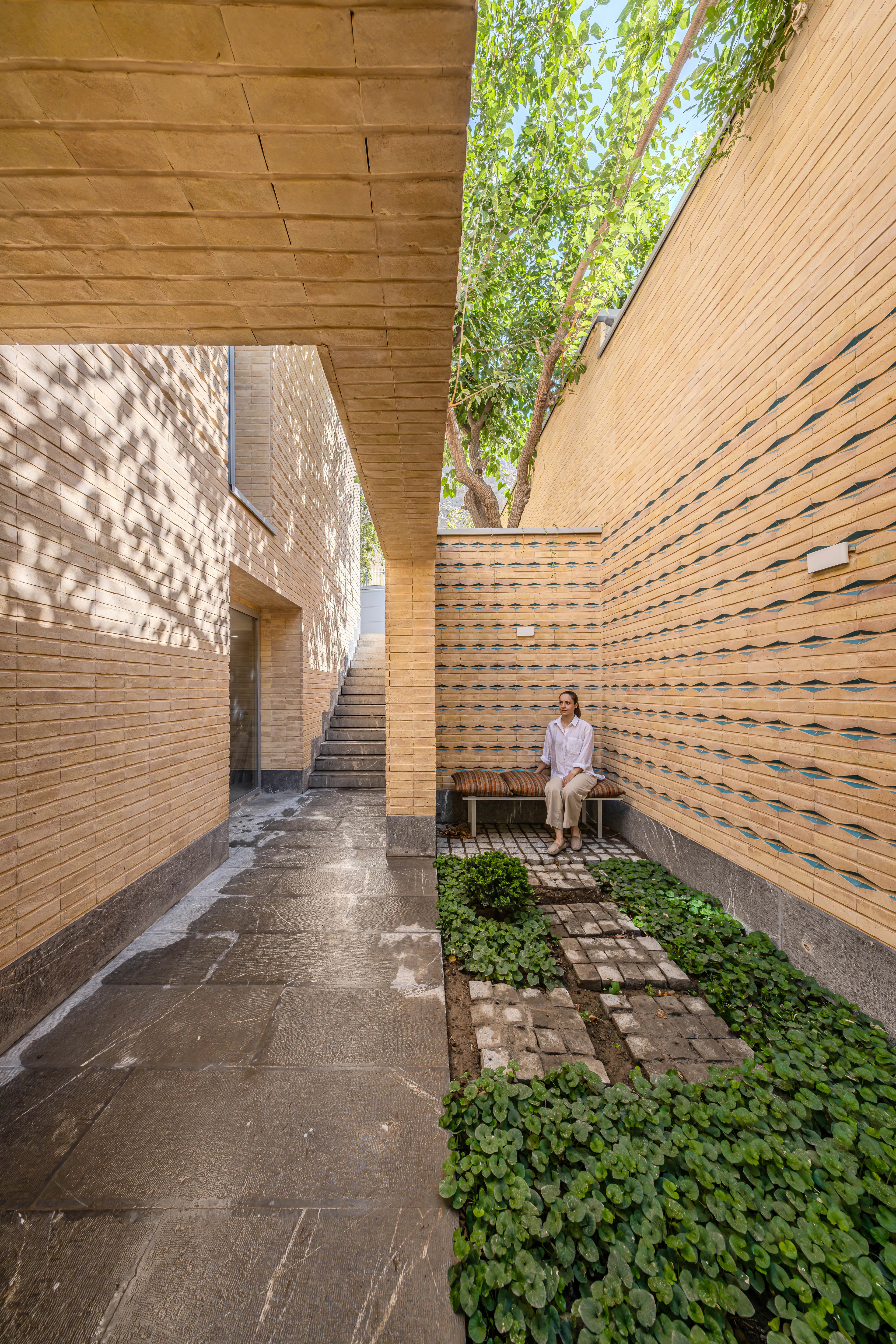 A House Looking to a Cedrus Tree — 5